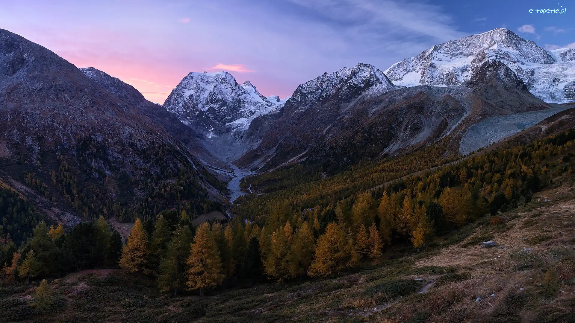 Dolina, Drzewa, Szczyt, Alpy Pennińskie, Góry, Szwajcaria, Kanton Valais, Mont Collon, Val dHerens