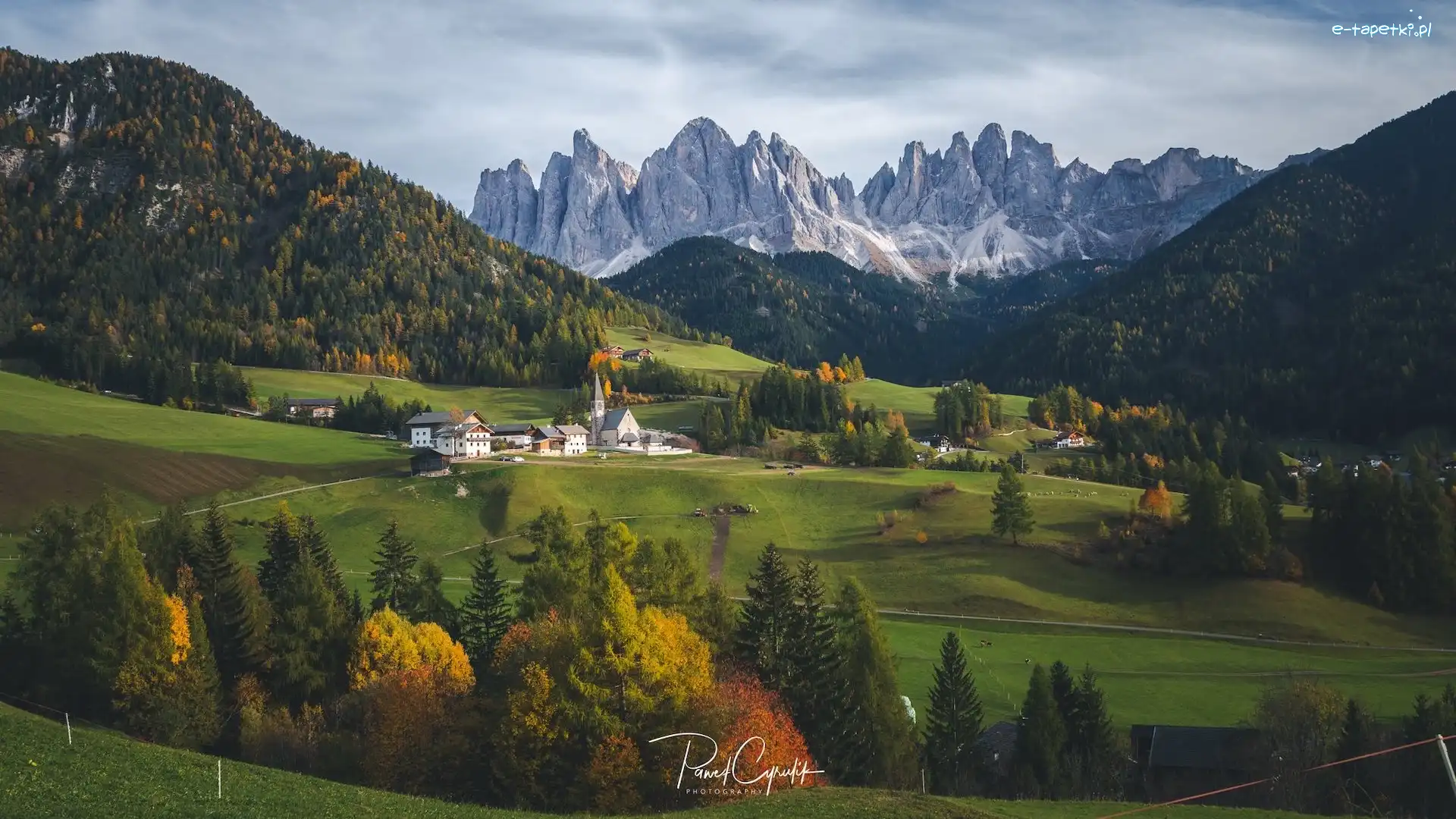 Drzewa, Santa Maddalena, Góry, Wieś, Włochy, Domy, Dolomity