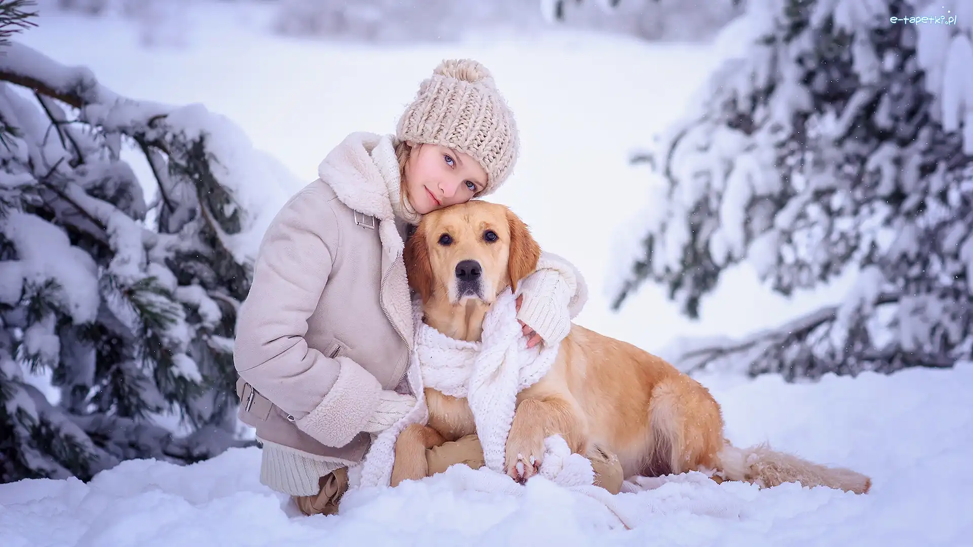 Śnieg, Golden retriever, Zima, Szalik, Pies, Dziewczynka