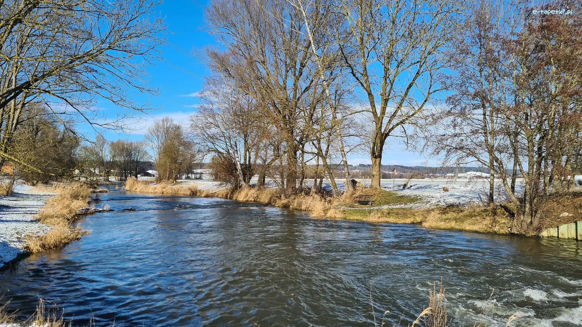 Zima, Bezlistne, Rzeka, Śnieg, Drzewa