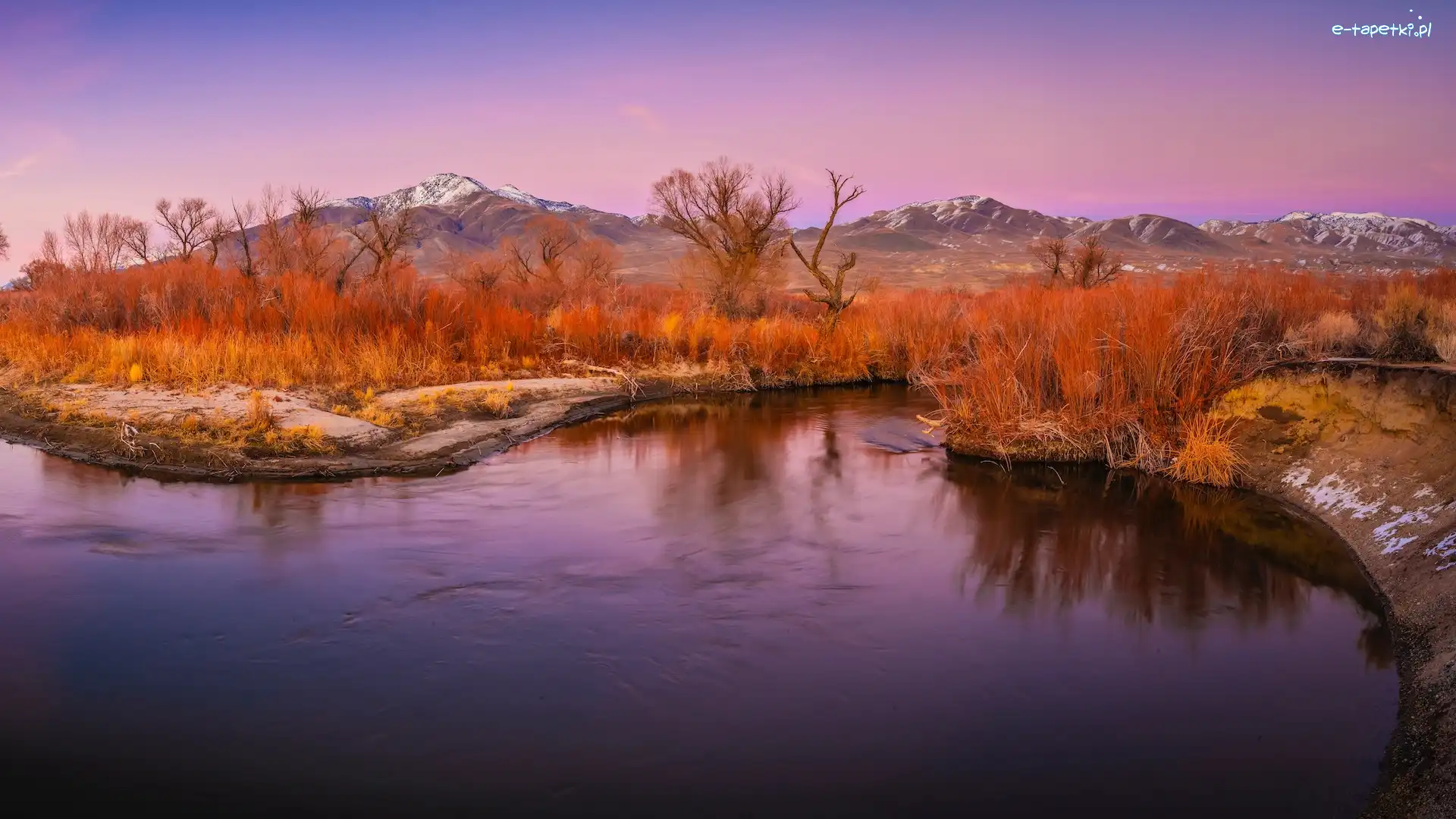 Eastern Sierra, Jesień, Stany Zjednoczone, Owens River, Rośliny, Dolina Owens Valley, Rzeka, Góry, Drzewa, Kalifornia