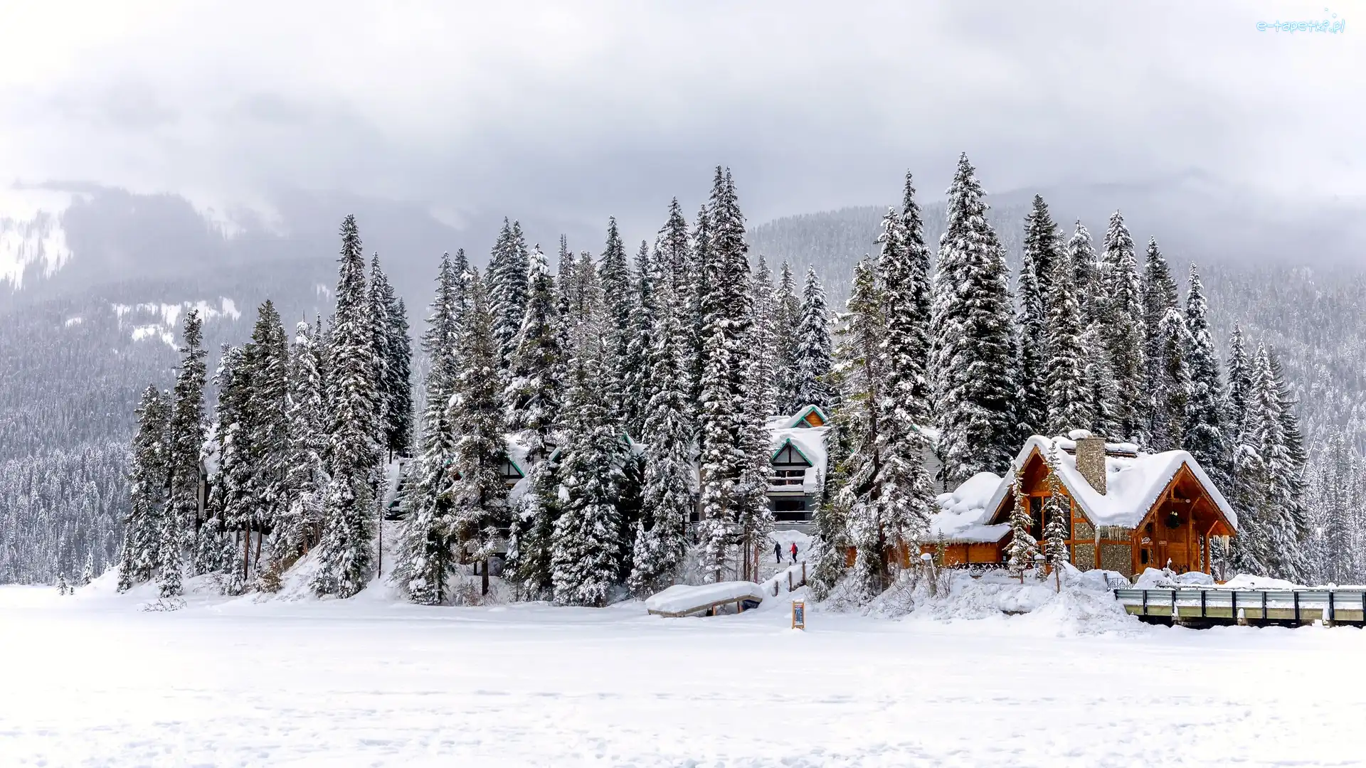Most, Park Narodowy Yoho, Kanada, Ośnieżone, Dom, Góry, Drzewa, Zima