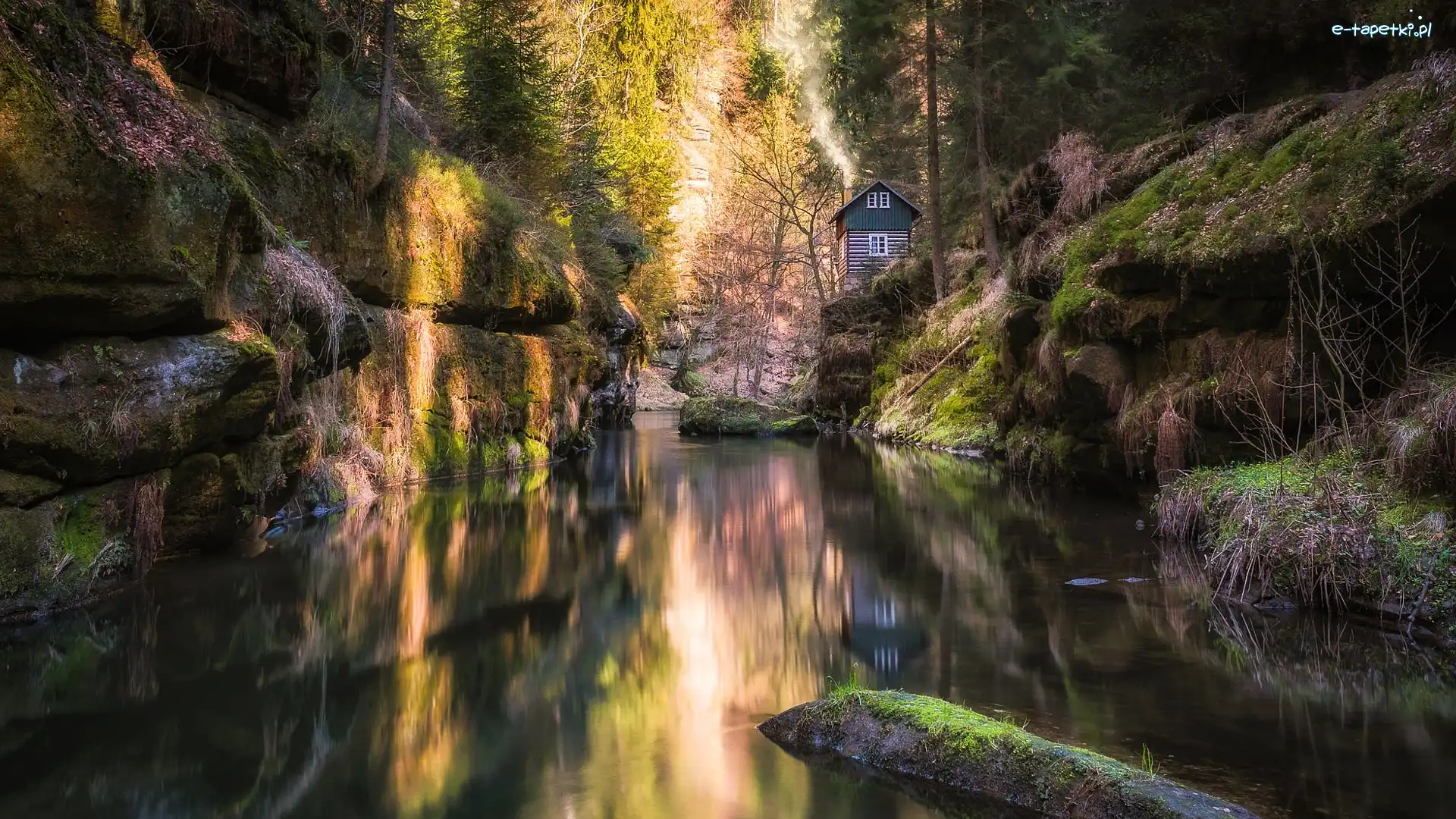 Czechy, Skała, Dom, Drzewa, Las, Park Narodowy Czeska Szwajcaria, Rzeka Kamienica