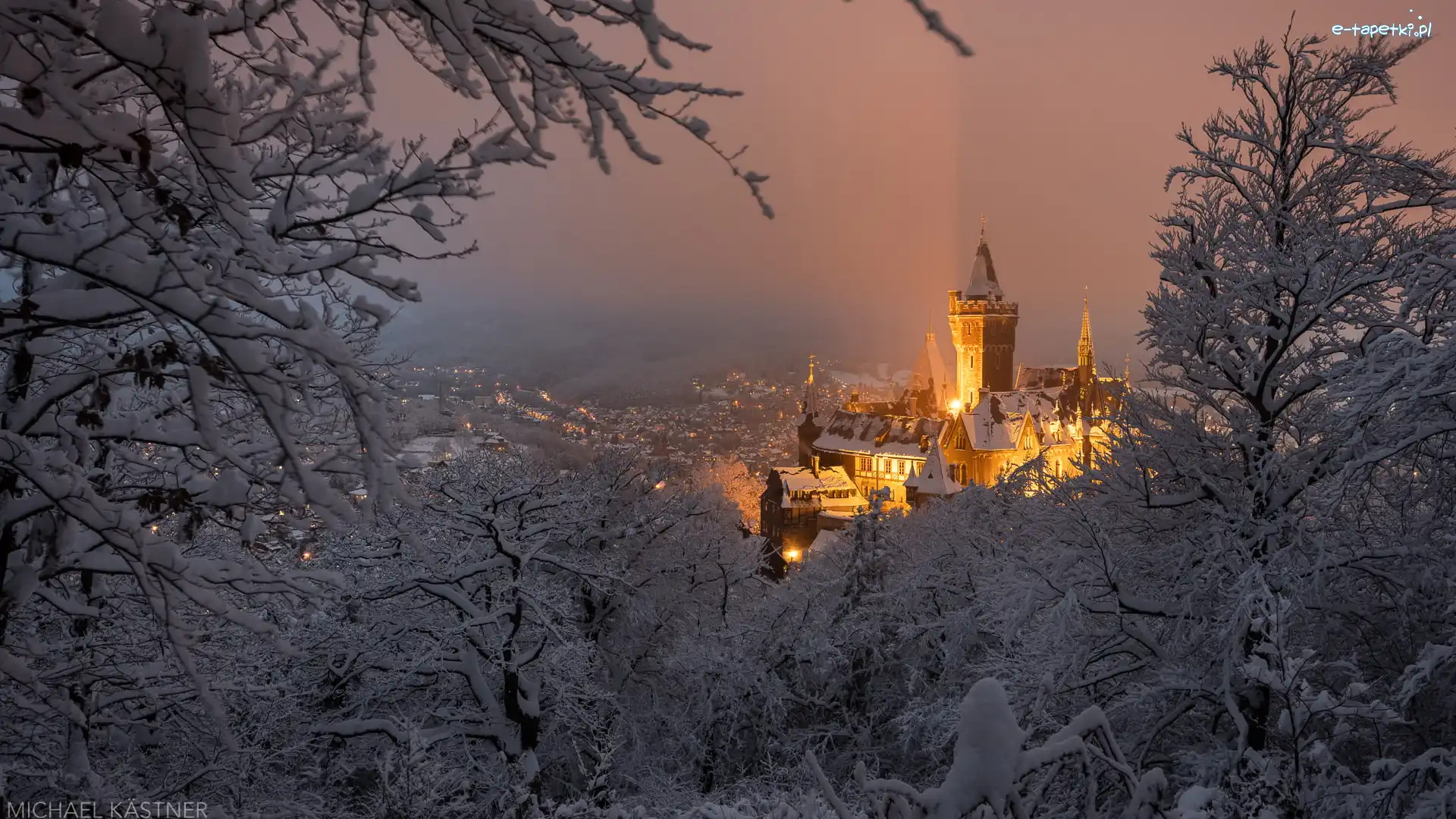Niemcy, Drzewa, Zima, Zamek Wernigerode, Oświetlony, Powiat Harz, Wernigerode