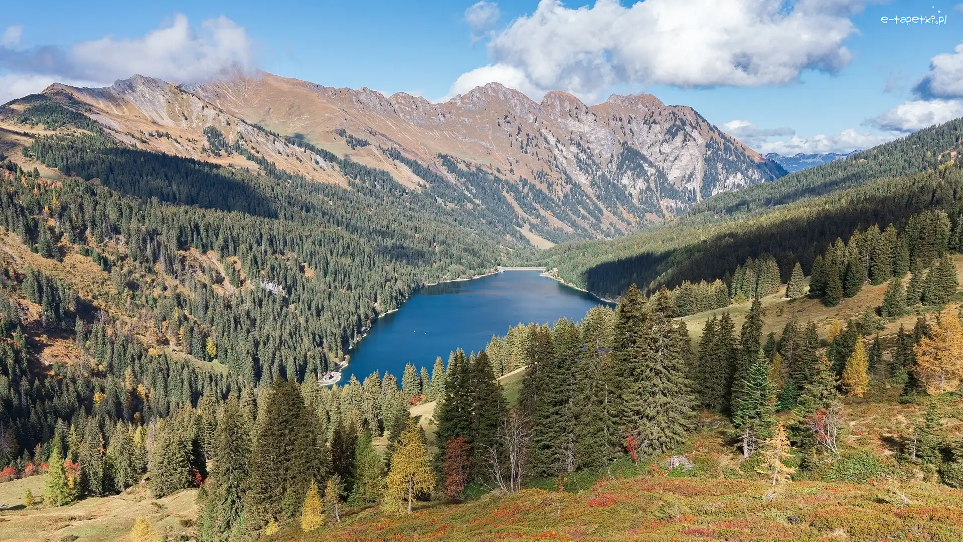 Góry, Drzewa, Jezioro Arnensee, Szwajcaria, Kanton Berno