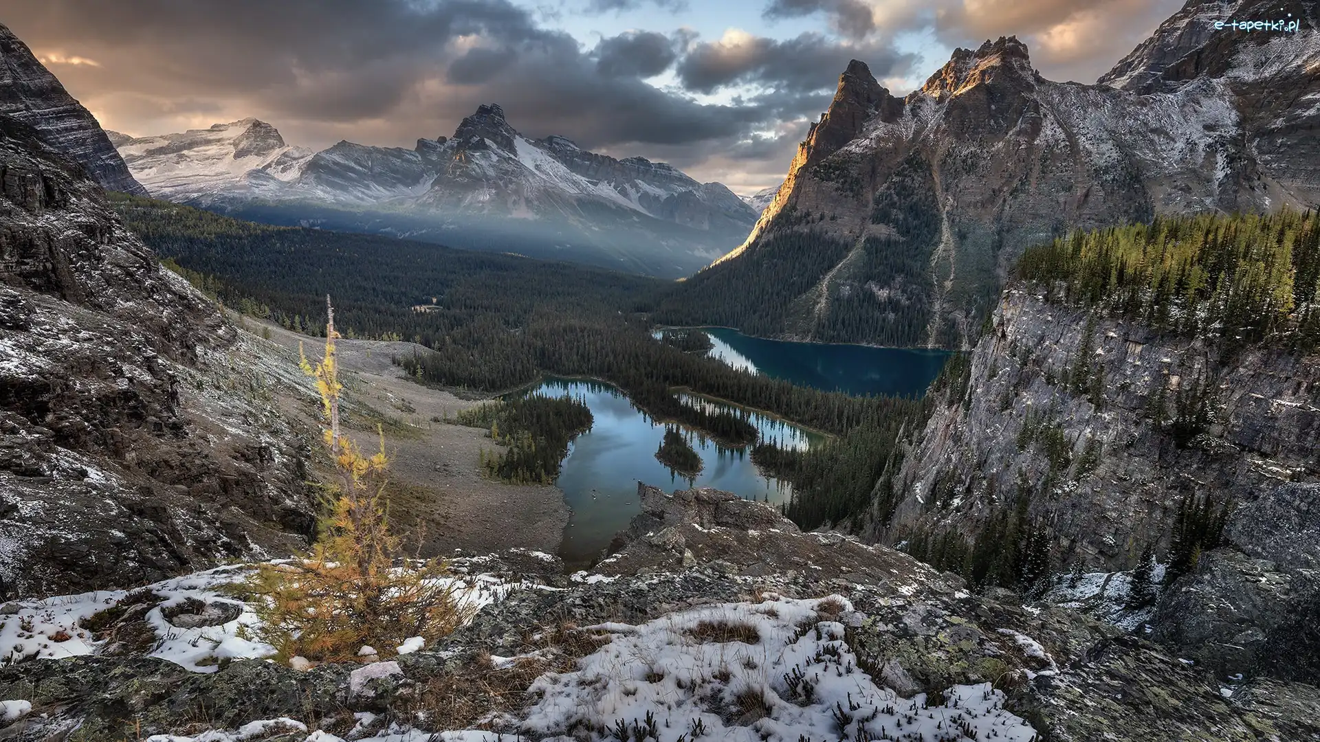 Lake OHara, Mary Lake, Drzewa, Park Narodowy Yoho, Góry, Kanada, Kolumbia Brytyjska, Jeziora, Chmury