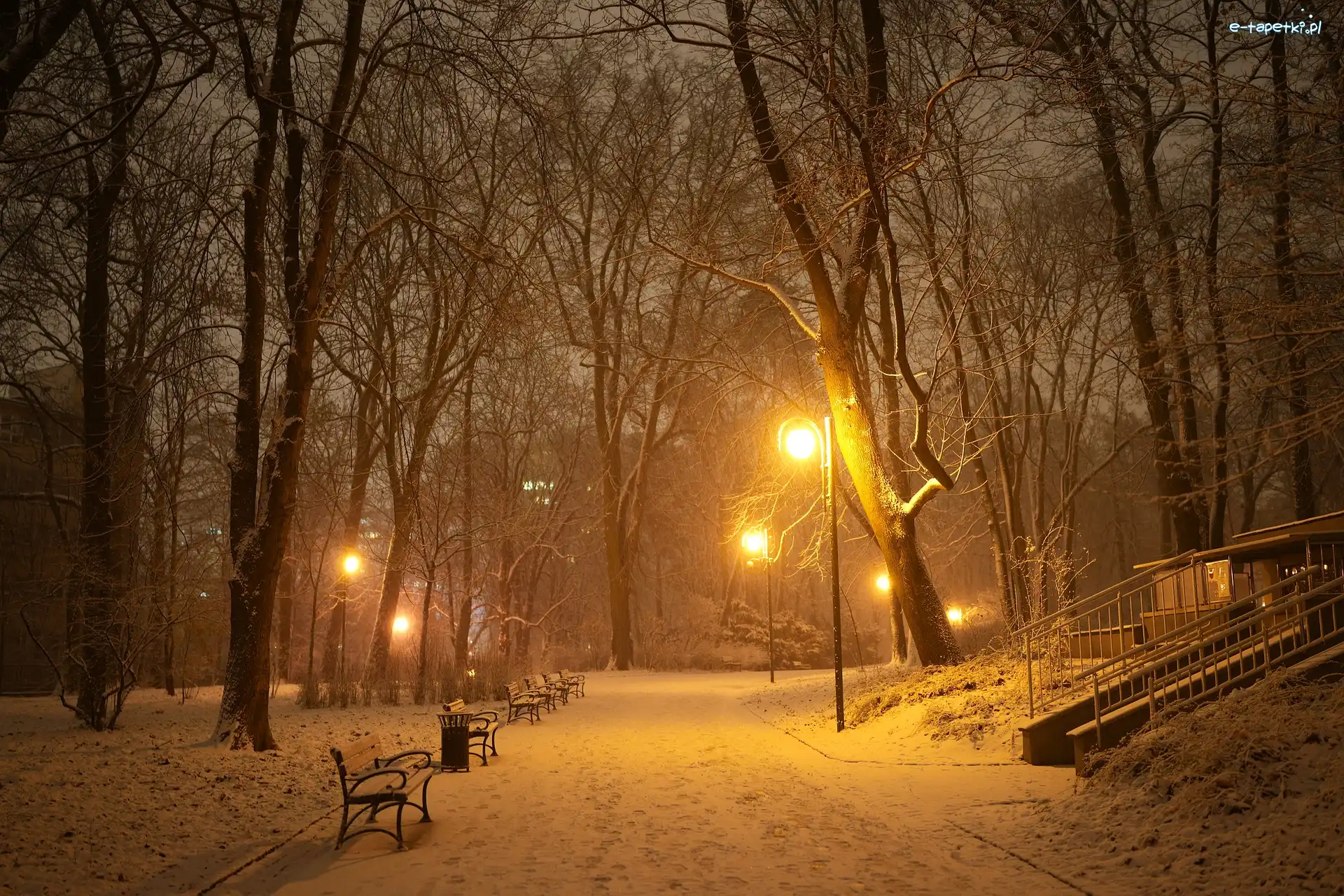 Zima, Noc, Park, Drzewa, Latarnie