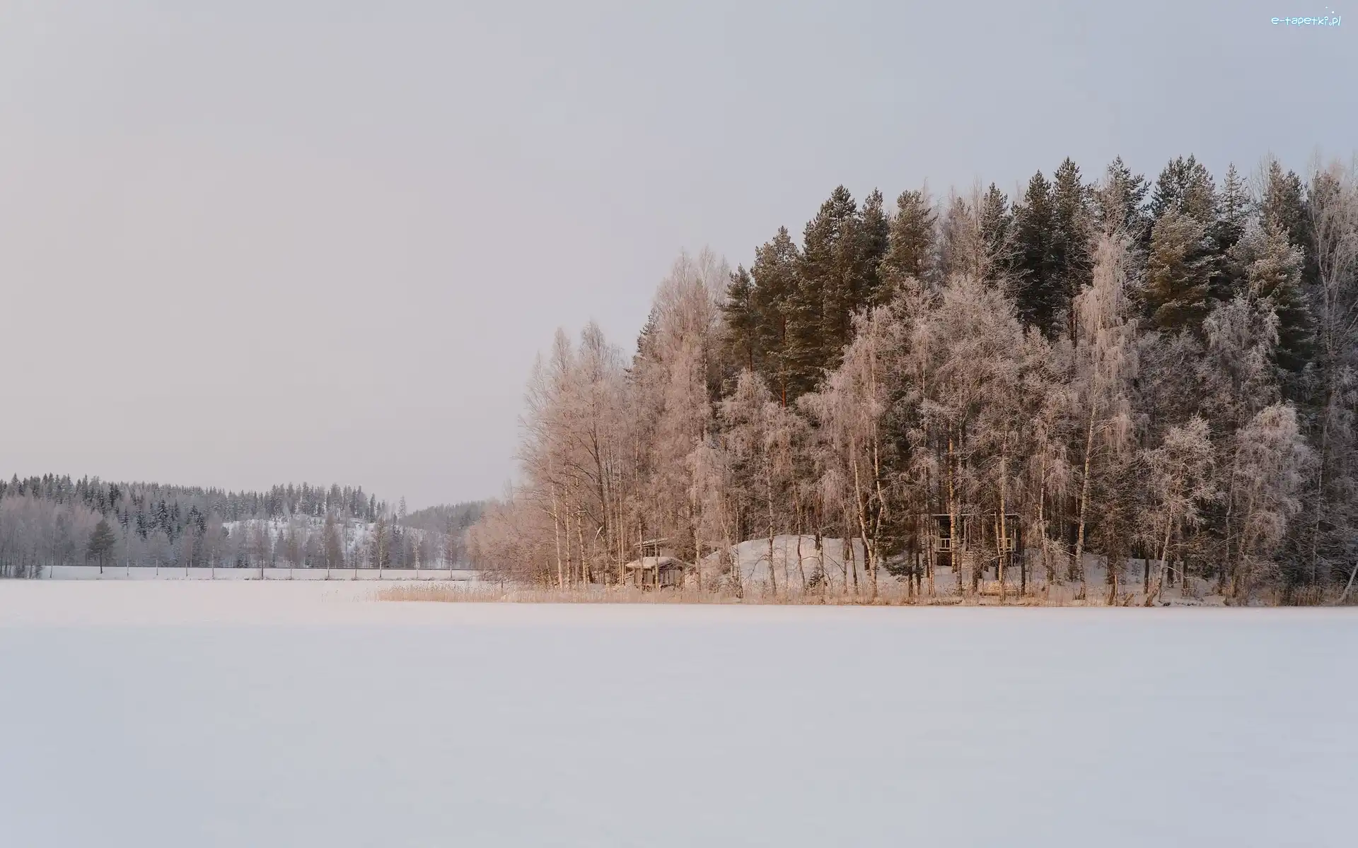 Jezioro, Drzewa, Sylkky Lake, Domy, Finlandia, Śnieg, Zaśnieżone, Gmina Savonlinna, Zima, Las, Herttuala