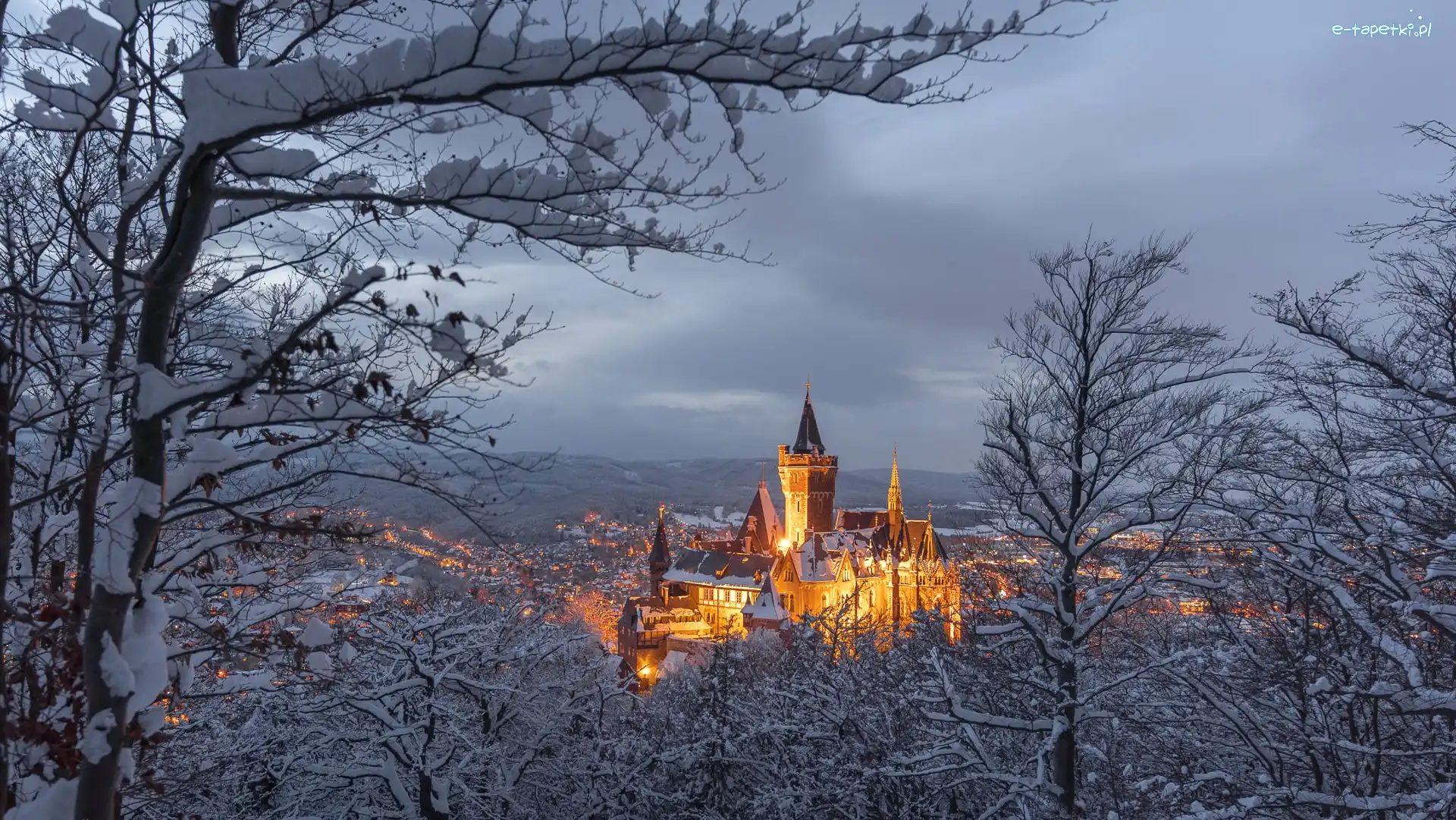 Niemcy, Zima, Drzewa, Zamek Wernigerode, Oświetlony, Powiat Harz, Wernigerode