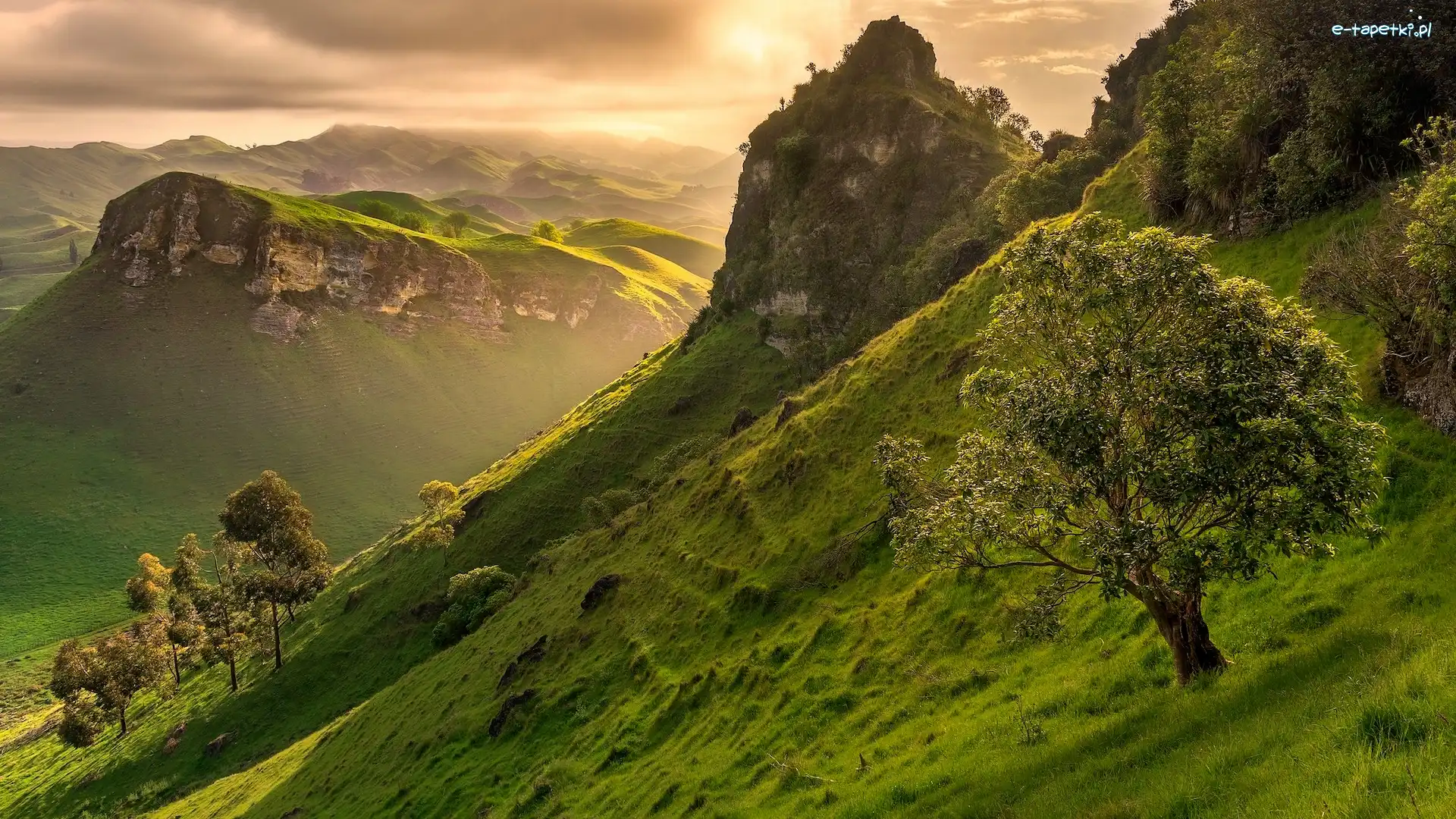 Wzgórza, Region Hawkes Bay, Drzewa, Dolina, Góry Te Mata Peak, Góry, Wschód słońca, Nowa Zelandia