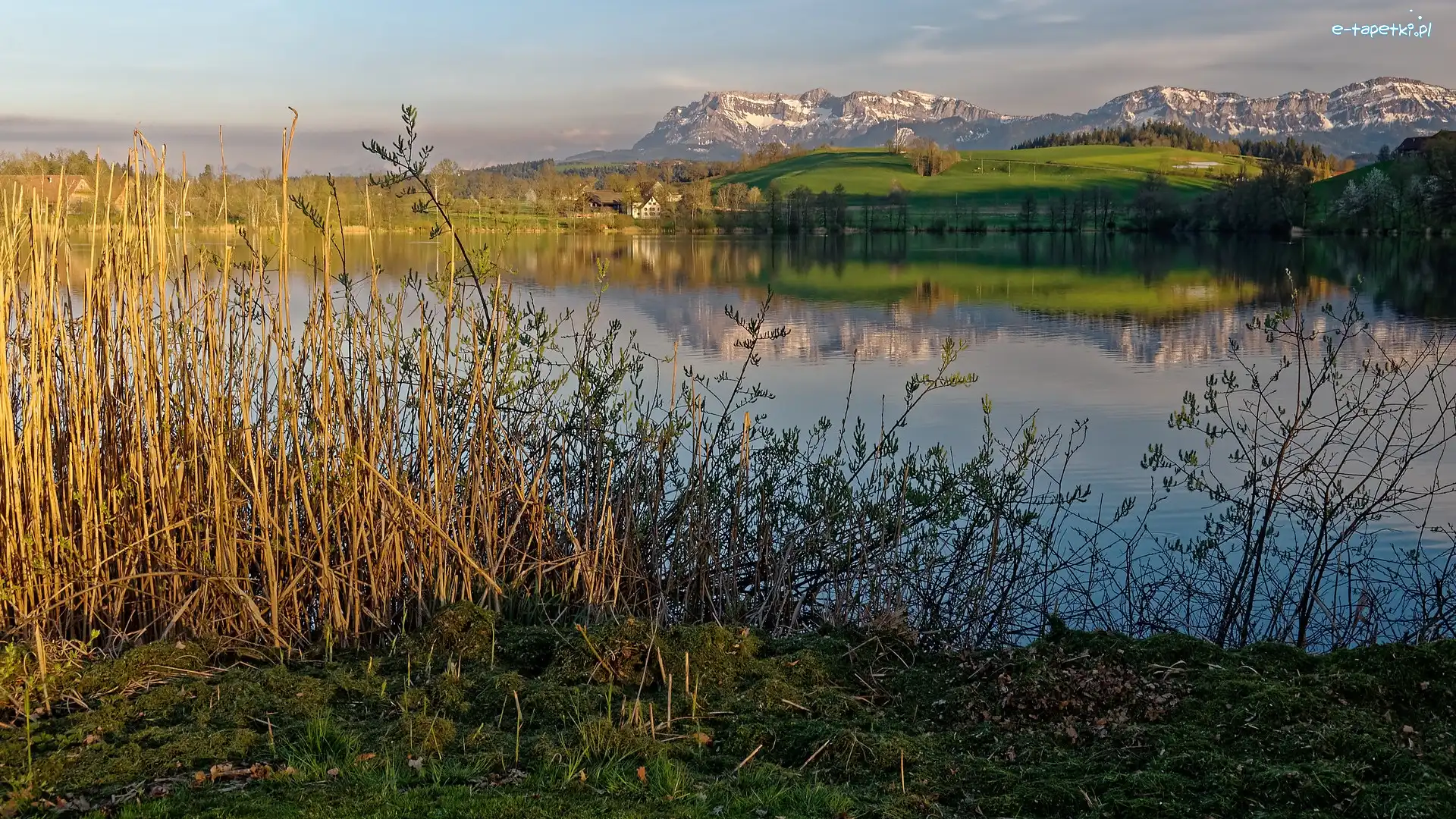 Kanton Lucerna, Krzewy, Trzciny, Szwajcaria, Jezioro Soppensee, Góry Pilatus