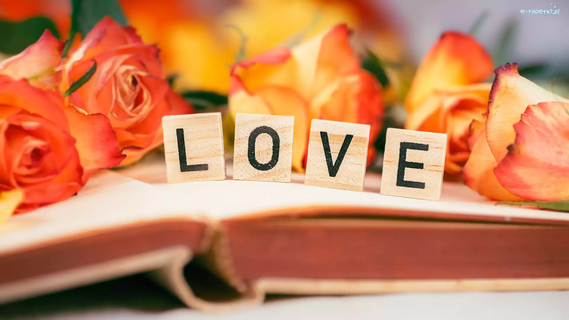 Książka, Klocki, Róże, Love, Napis