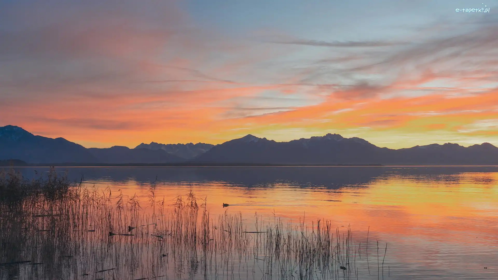 Bawaria, Góry, Trawa, Niemcy, Jezioro Chiemsee, Zachód słońca