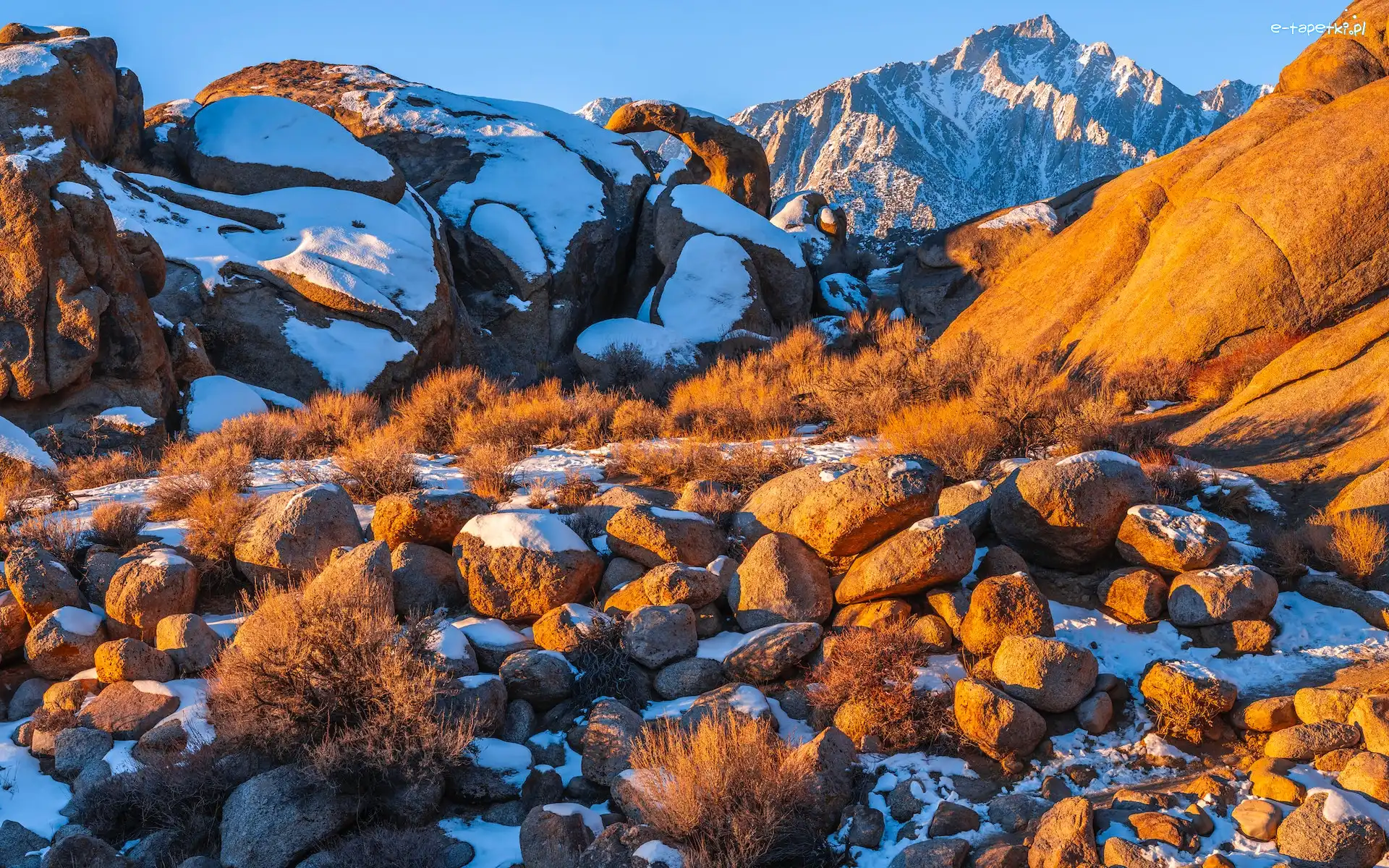 Góry, Śnieg, Stany Zjednoczone, Kalifornia, Krzewy, Alabama Hills, Hrabstwo Inyo, Skały