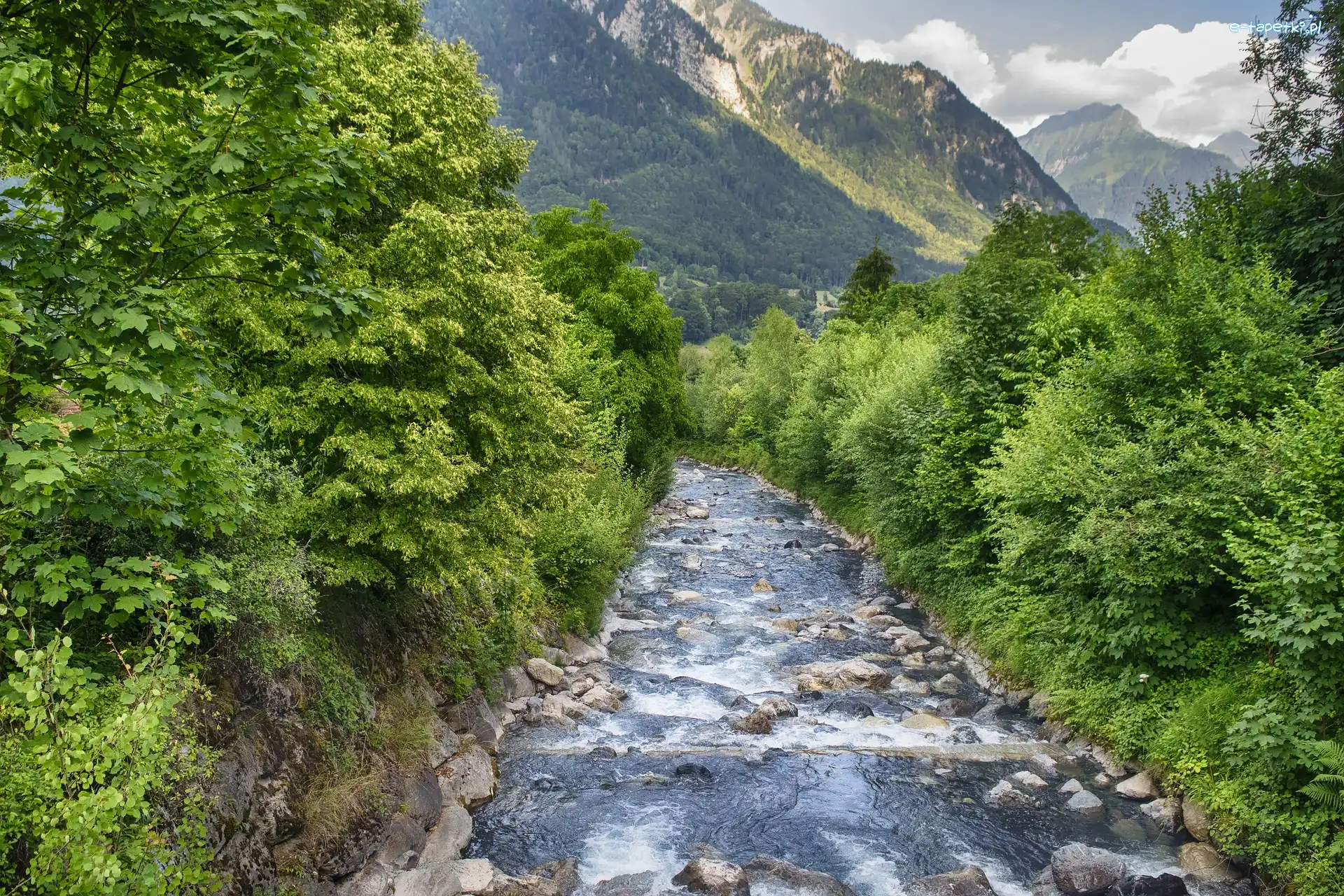 Rzeka, Krzewy, Drzewa, Kamienie, Góry