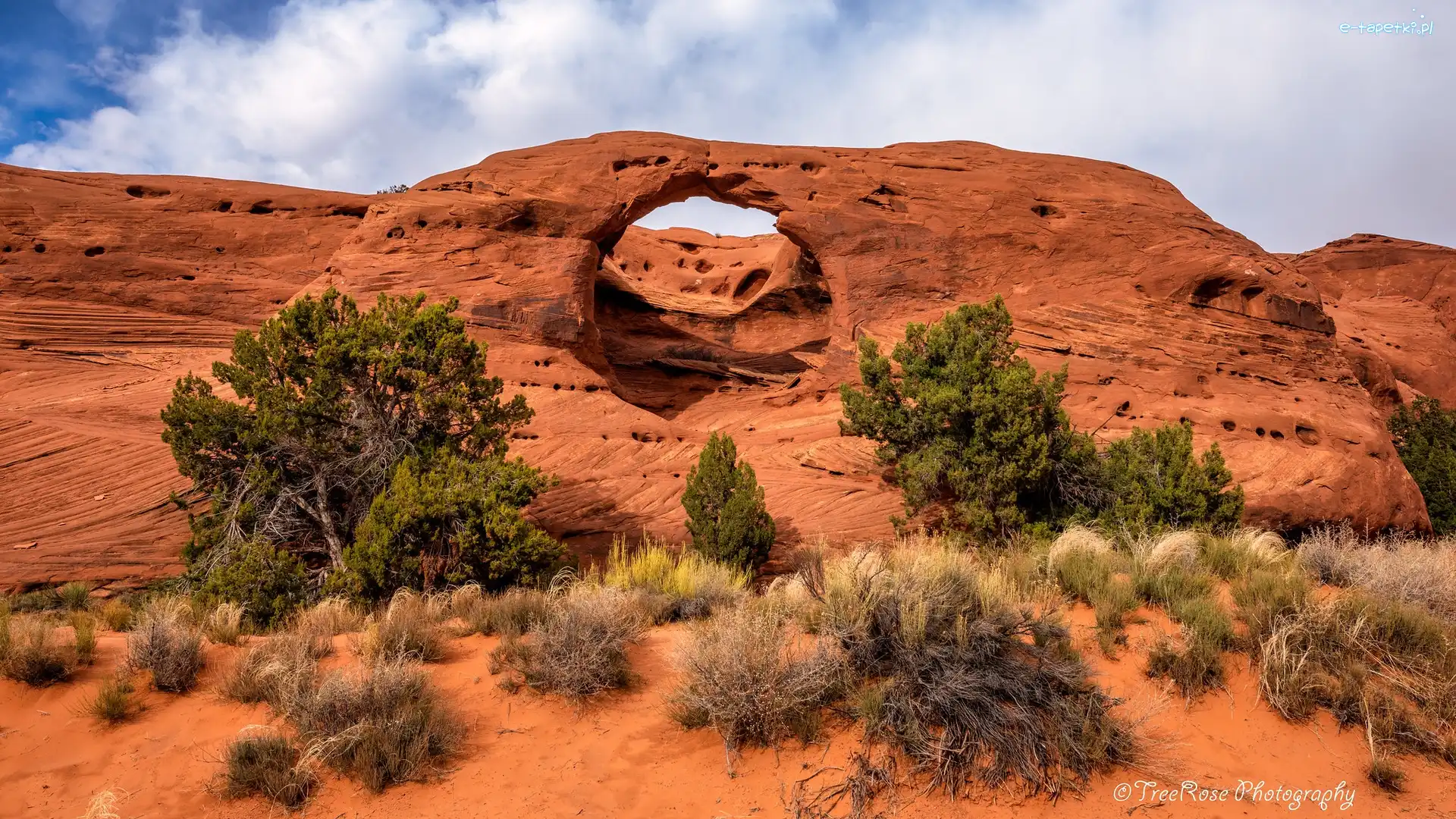 Formacja skalna, Skały, Dolina, Arizona, Stany Zjednoczone, Krzewy, Drzewa, Monument Valley, Honeymoon Arch