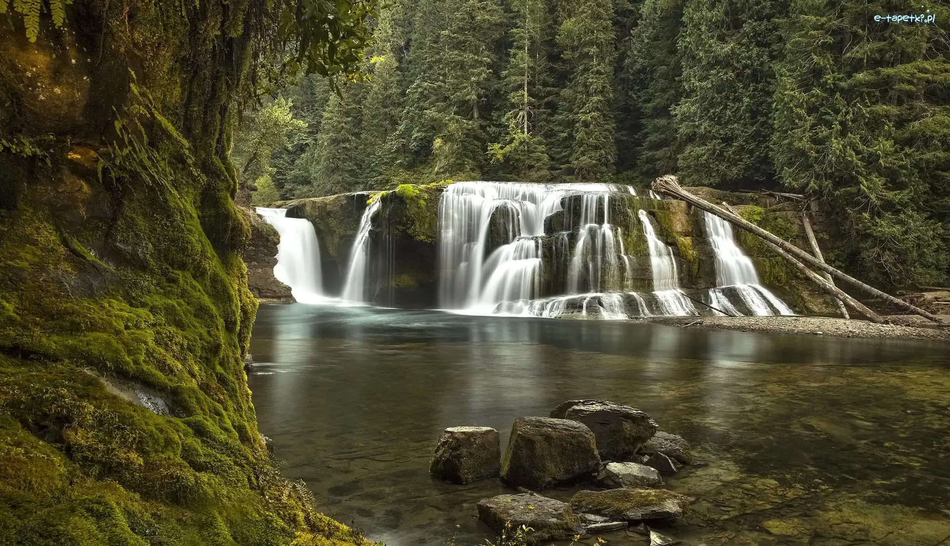 Las, Drzewa, Wodospad, Rzeka Lewis River, Rezerwat Gifford Pinchot, Stany Zjednoczone, Stan Waszyngton, Lower Lewis River Falls, Chmury