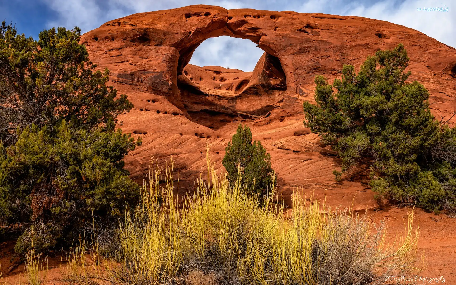 Łuk skalny, Skały, Dolina, Arizona, Stany Zjednoczone, Krzewy, Drzewa, Monument Valley, Honeymoon Arch