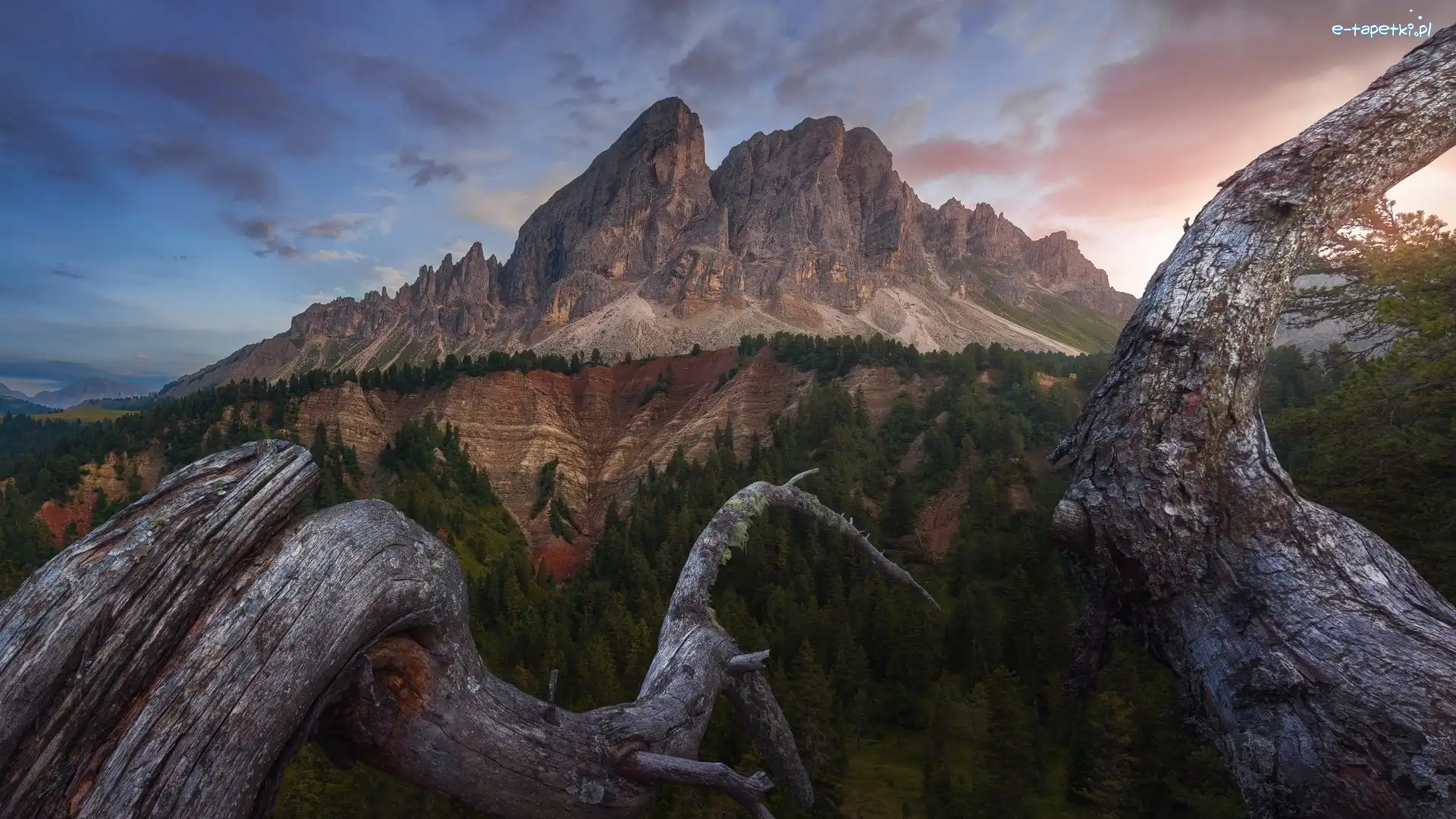 Wurzjoch, Dolomity, Włochy, Chmury, Przełęcz, Passo del Erbe, Drzewa, Góry