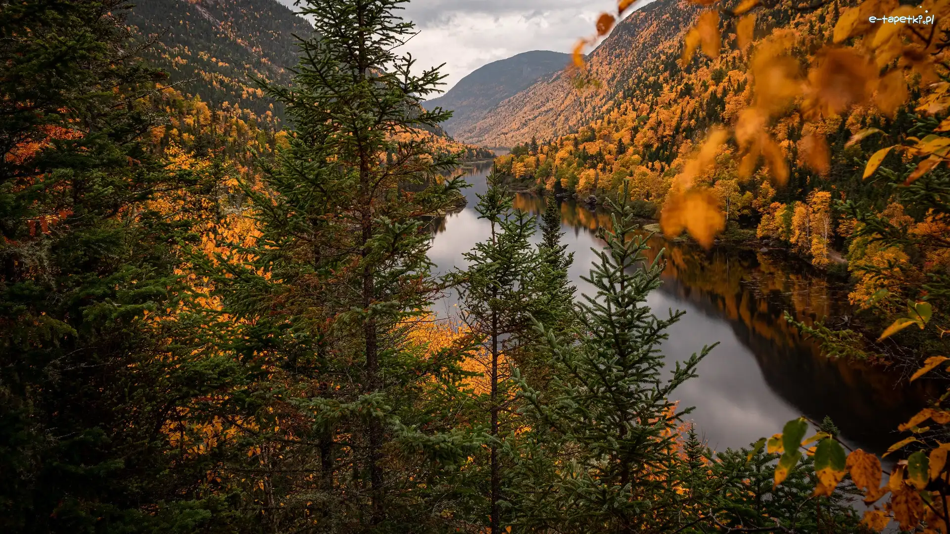 Drzewa, Malbaie River, Wąwóz, Góry, Jesień, Kanada, Prowincja Quebec, Rzeka, Park Narodowy Hautes Gorges de la Riviere Malbaie