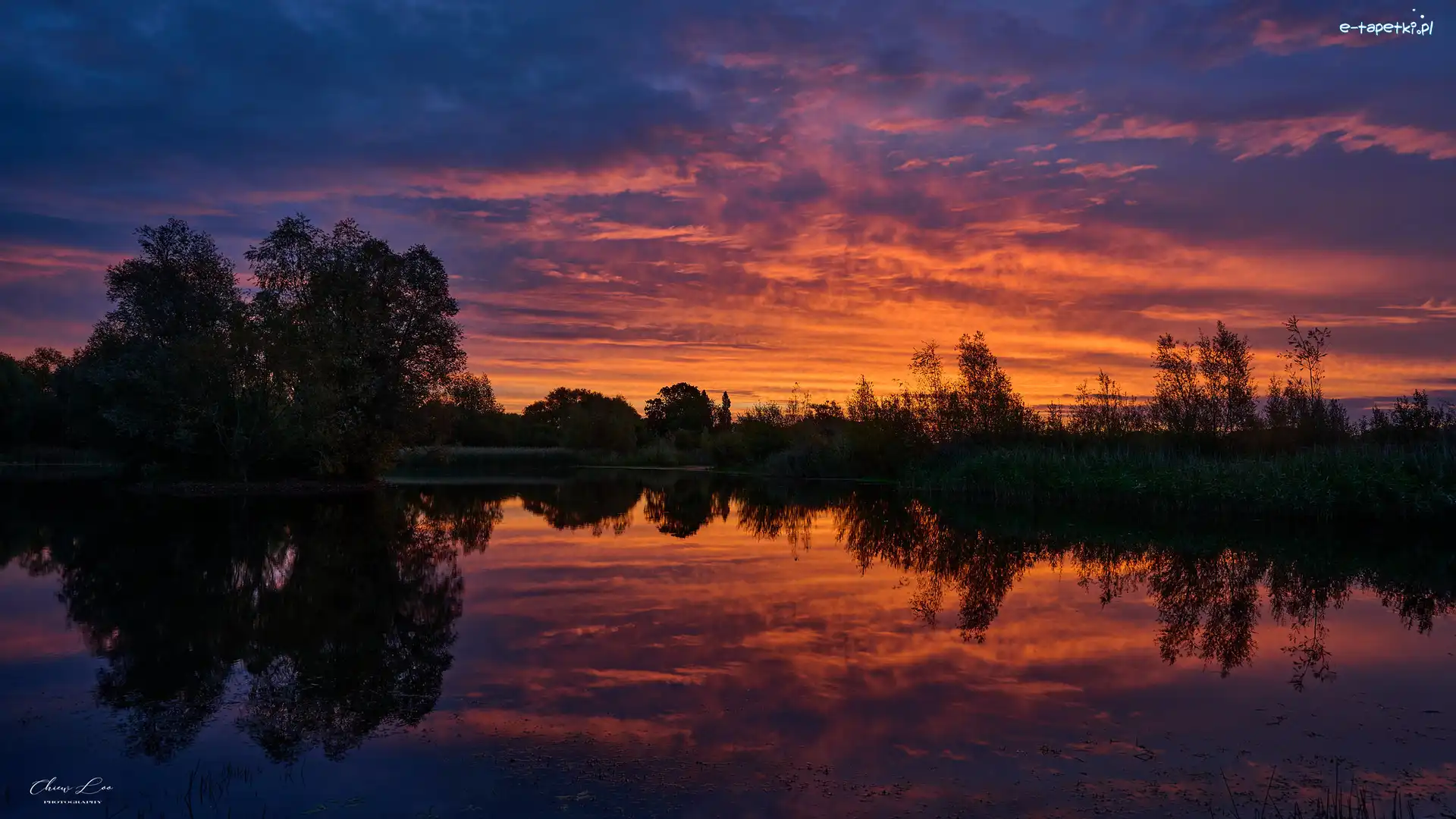 Jezioro, Drzewa, Wschód słońca, Odbicie, Szuwary