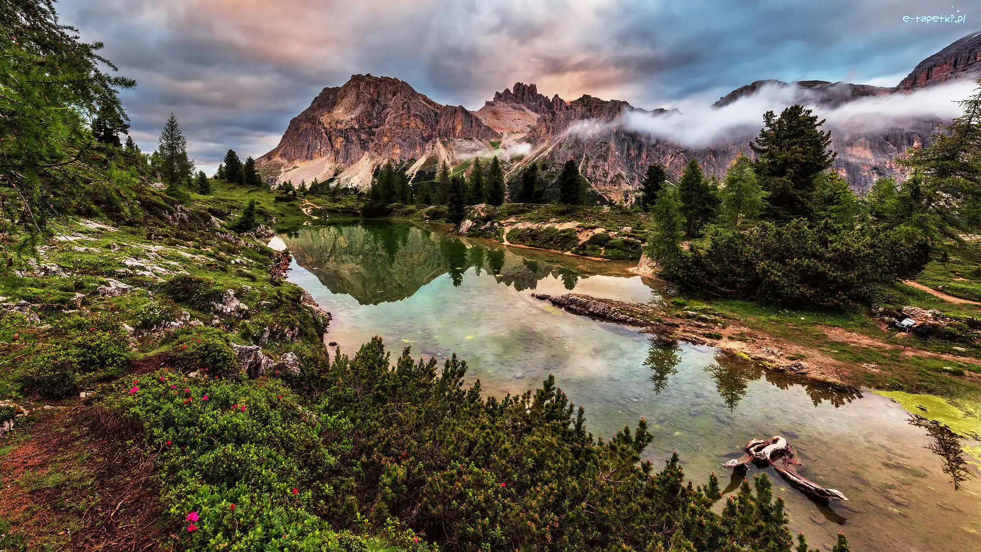 Drzewa, Mgła, Góry, Limides Lago, Jezioro, Włochy, Tyrol, Dolomity, Krzewy