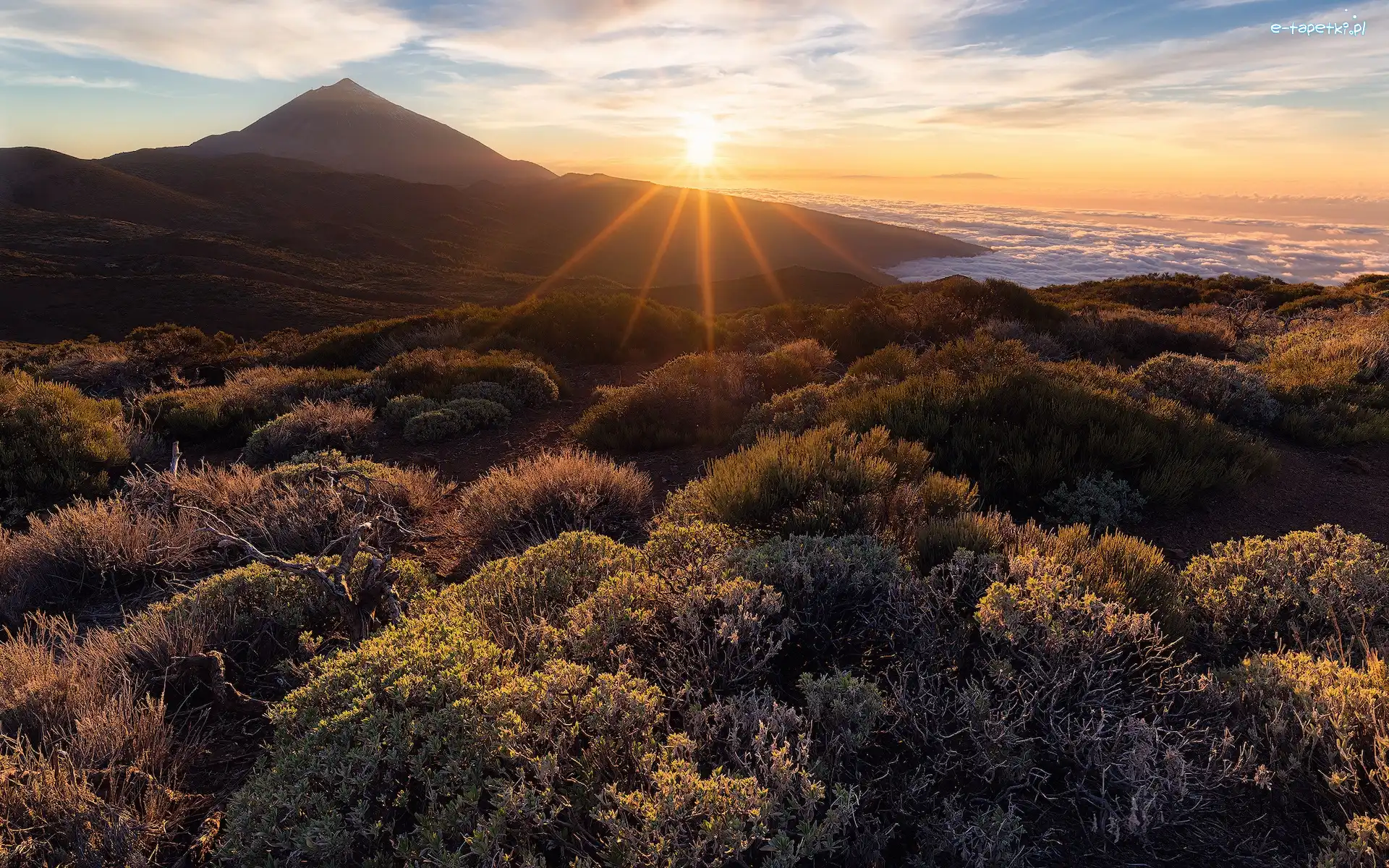 Góra Teide, Wschód słońca, Góry, Roślinność, Teneryfa, Hiszpania