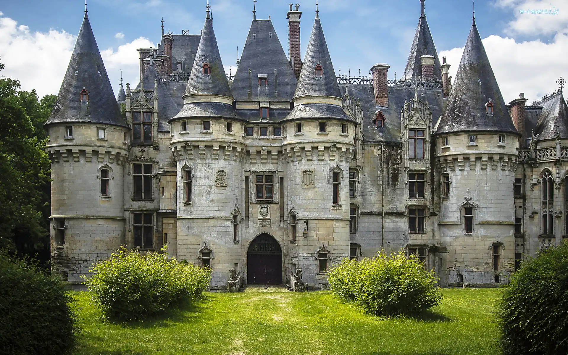 Niebo, Krzewy, Zieleń, Francja, Chateau de Vigny, Zamek