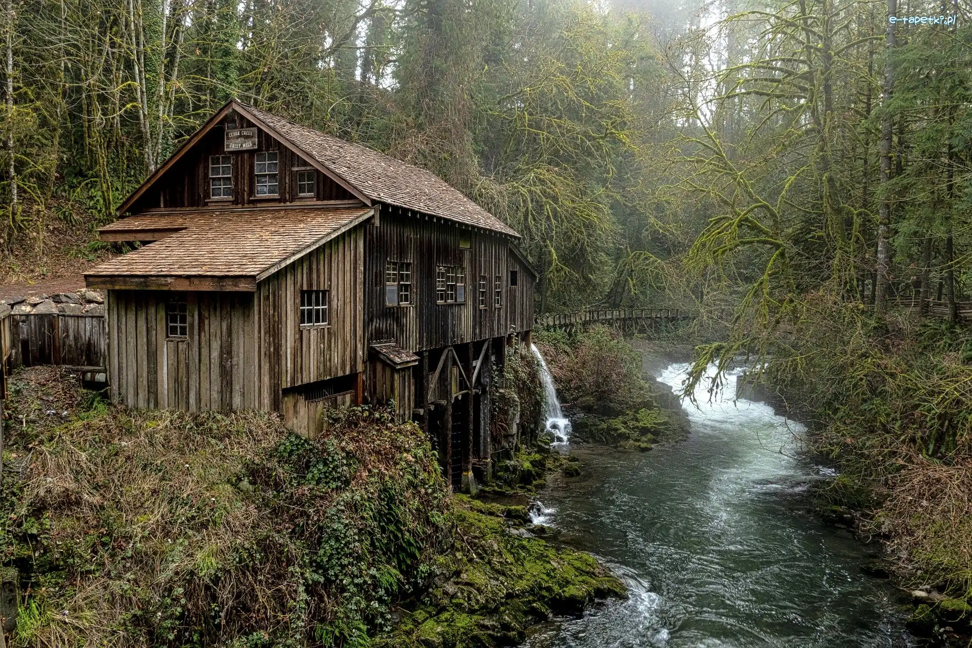 Jesień, Młyn, Cedar Creek Grist Mill, Stan Waszyngton, Stany Zjednoczone, Las, Rzeka