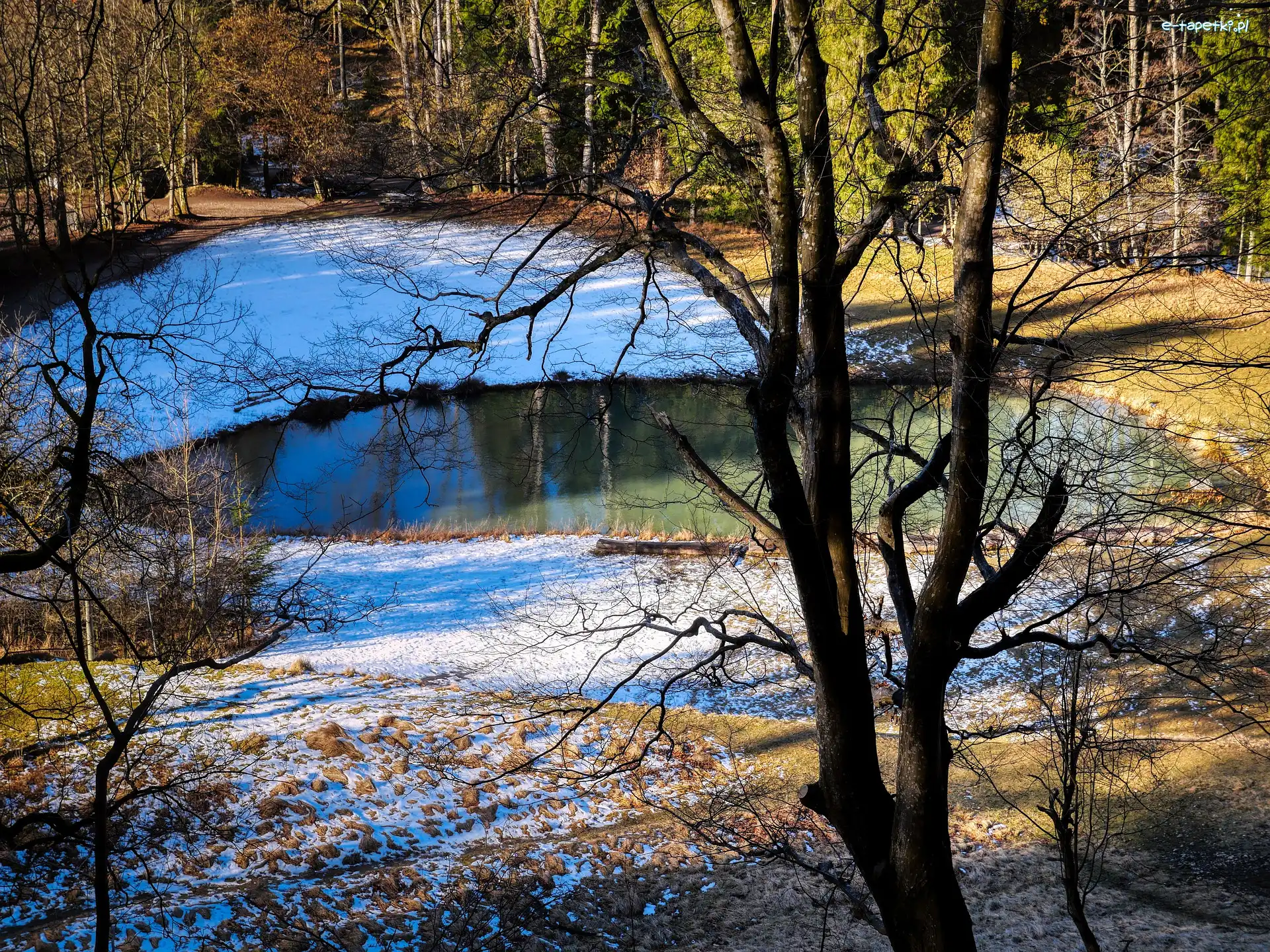 Dzień, Drzewa, Śnieg, Las, Jesień, Słoneczny, Staw
