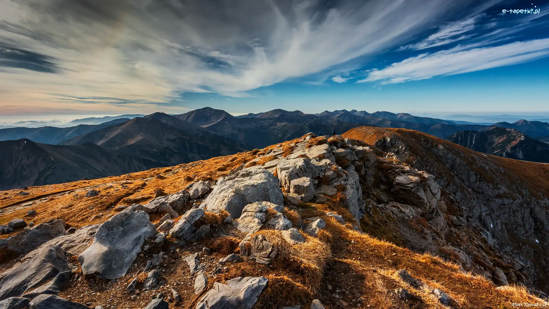 Trawa, Skały, Pożółkła, Polska, Tatry Zachodnie, Góry