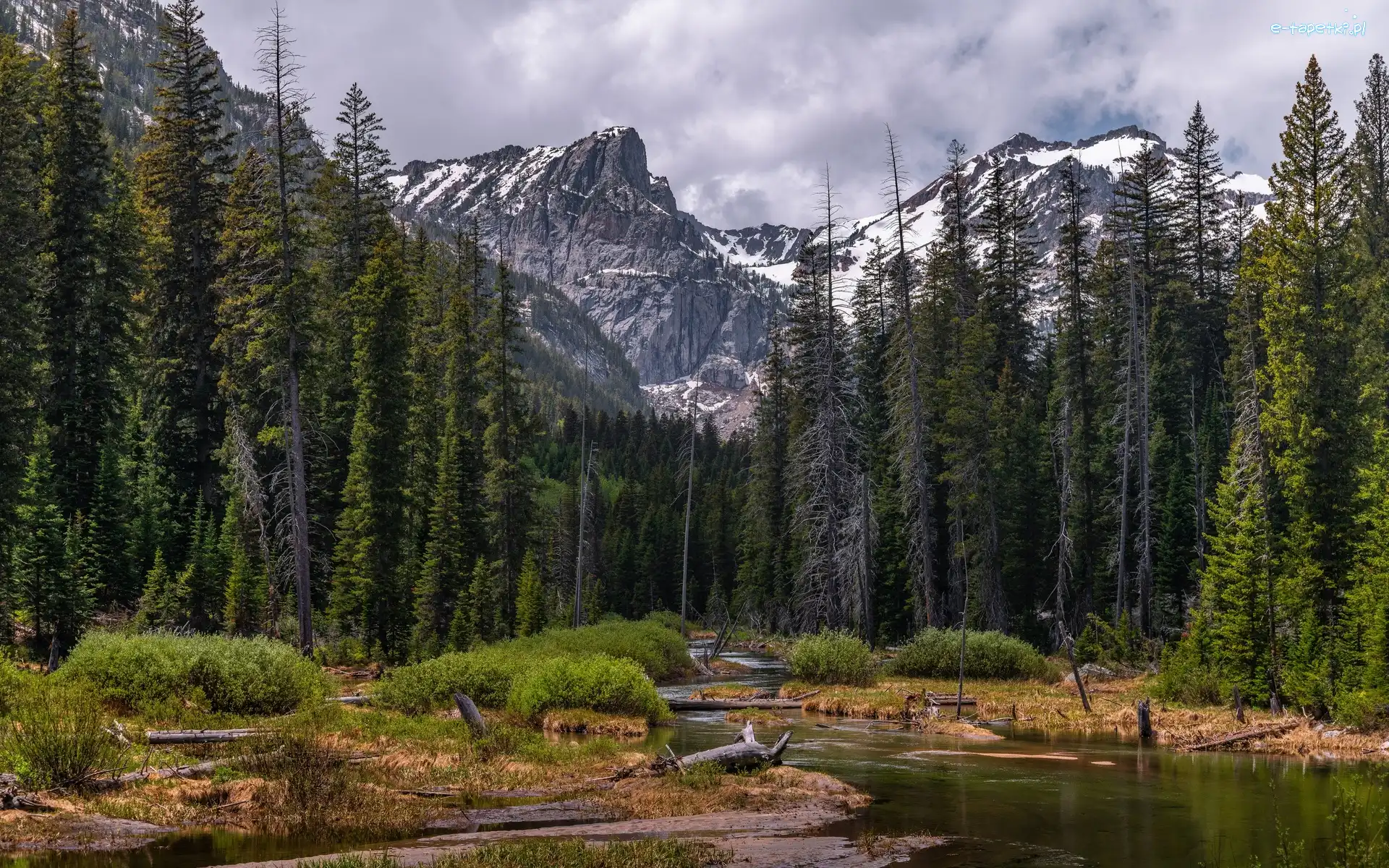 Las, Góry, Stany Zjednoczone, Stan Wyoming, Drzewa, Rzeka, Chmury, Park Narodowy Grand Teton