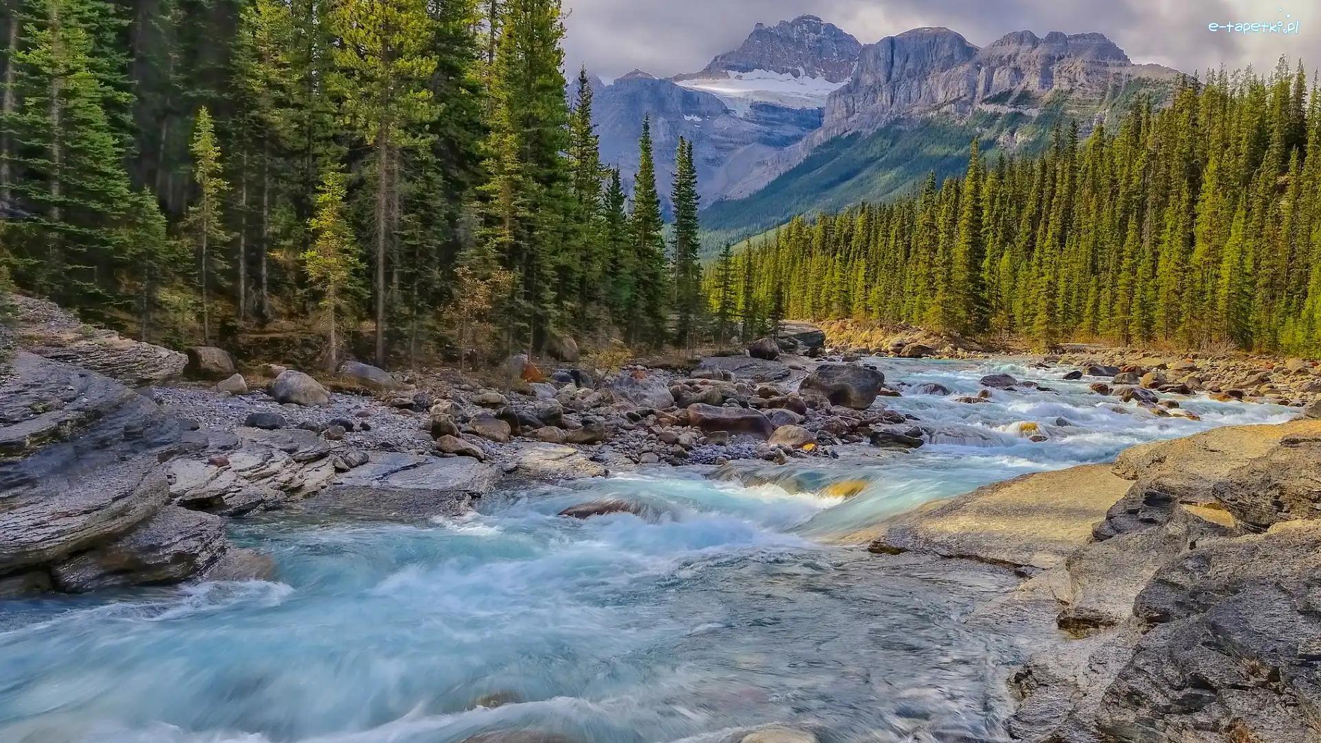 Góry, Rzeka, Canadian Rockies, Skały, Kanada, Kamienie, Drzewa, Alberta, Las, Mistaya River, Park Narodowy Banff