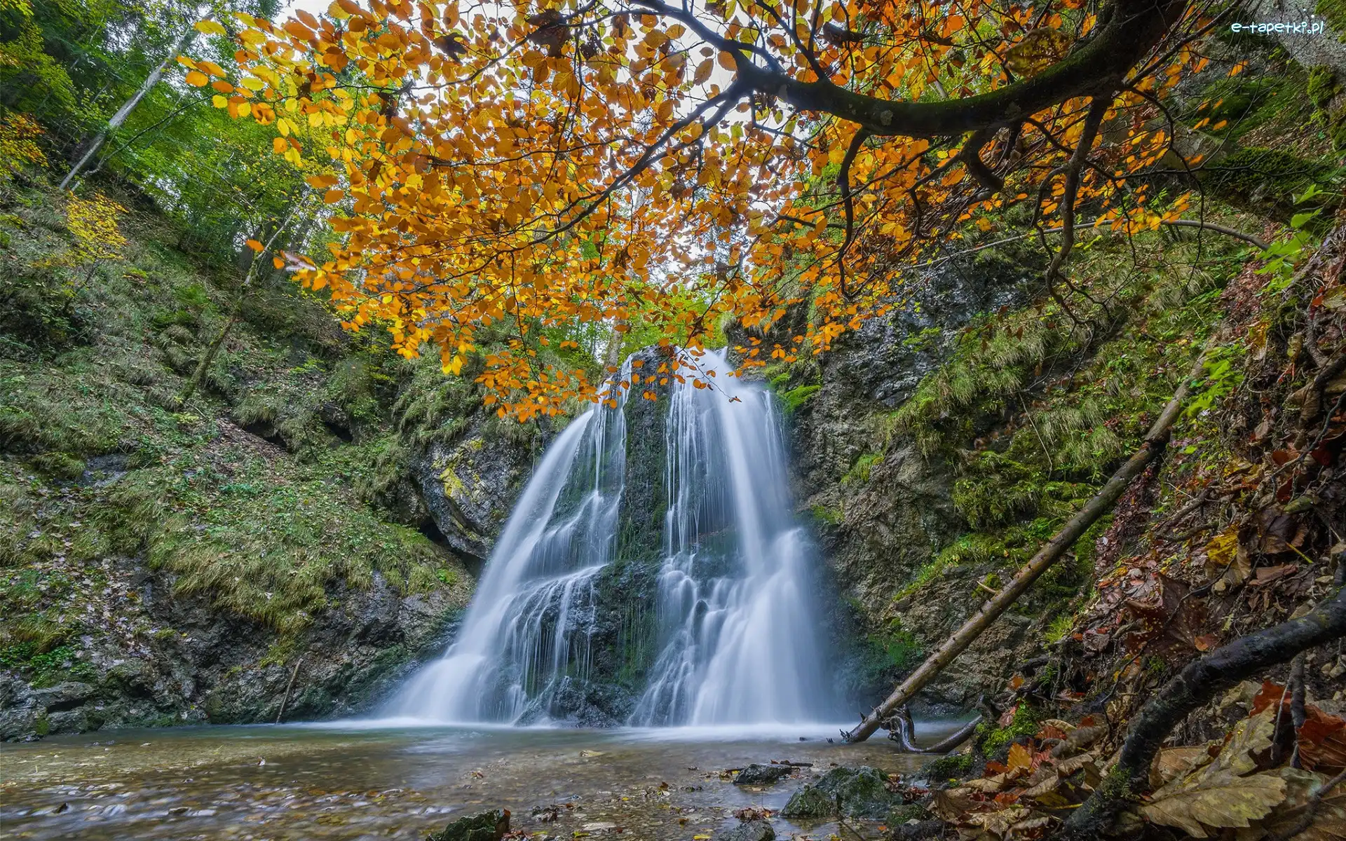 Liście, Drzewa, Las, Josefsthaler Waterfalls, Wodospad, Niemcy, Bawaria, Skały, Jesień
