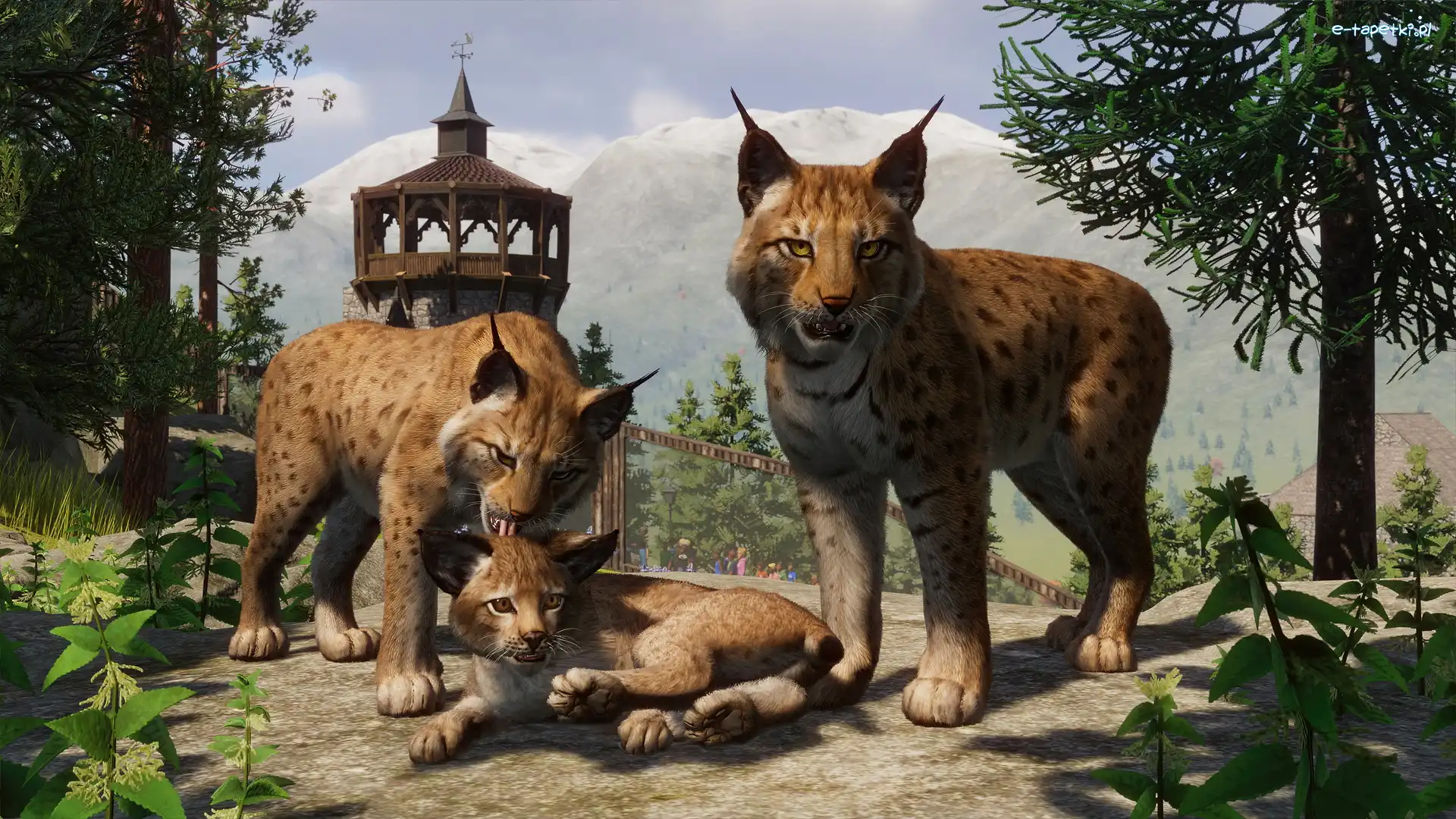 Planet Zoo, Gra, Rysie euroazjatyckie