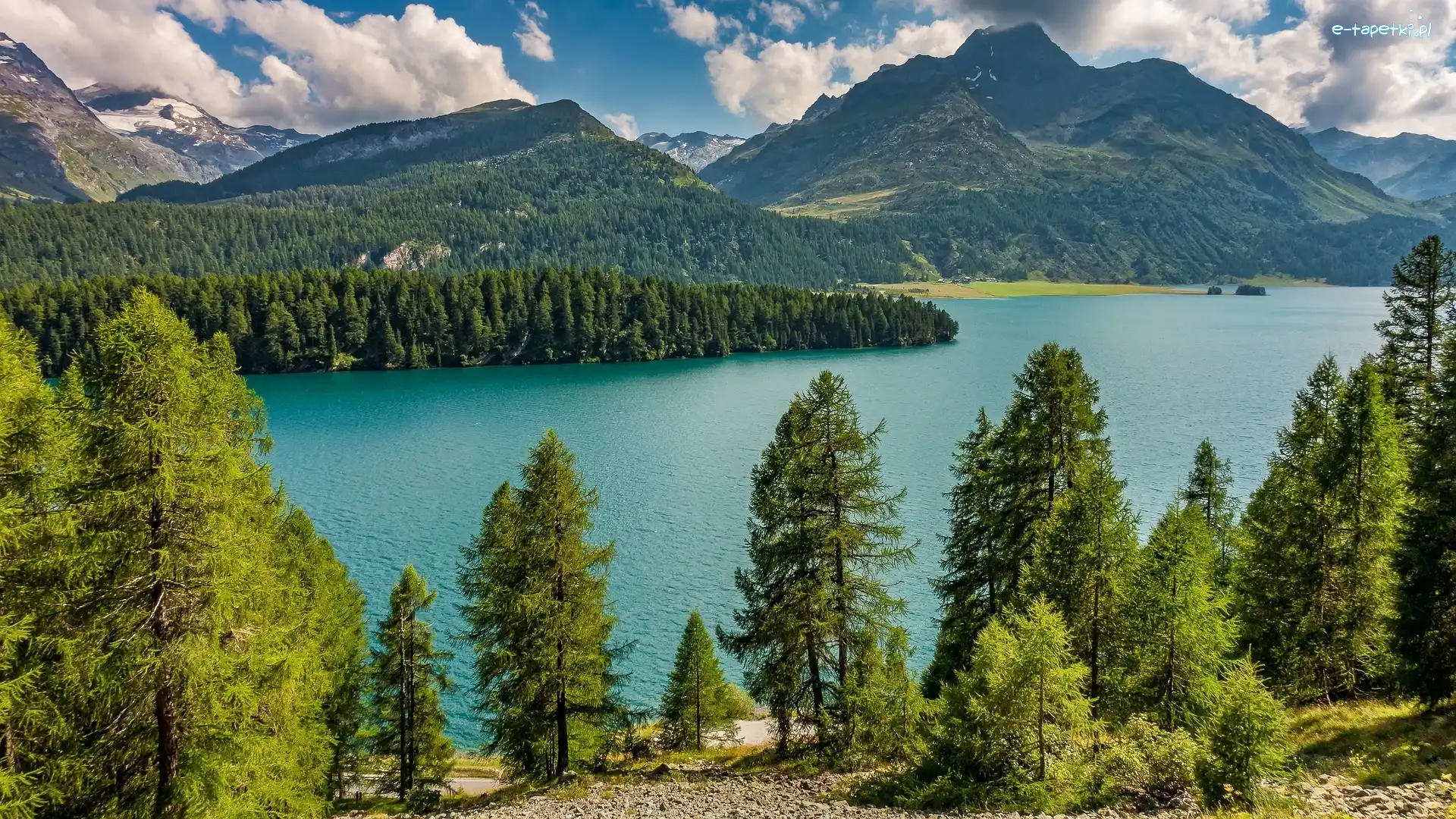 Drzewa, Silsersee, Szczyt Piz da la Margna, Alpy Bernina, Góry, Szwajcaria, Kanton Gryzonia, Jezioro, Dolina Engadyna
