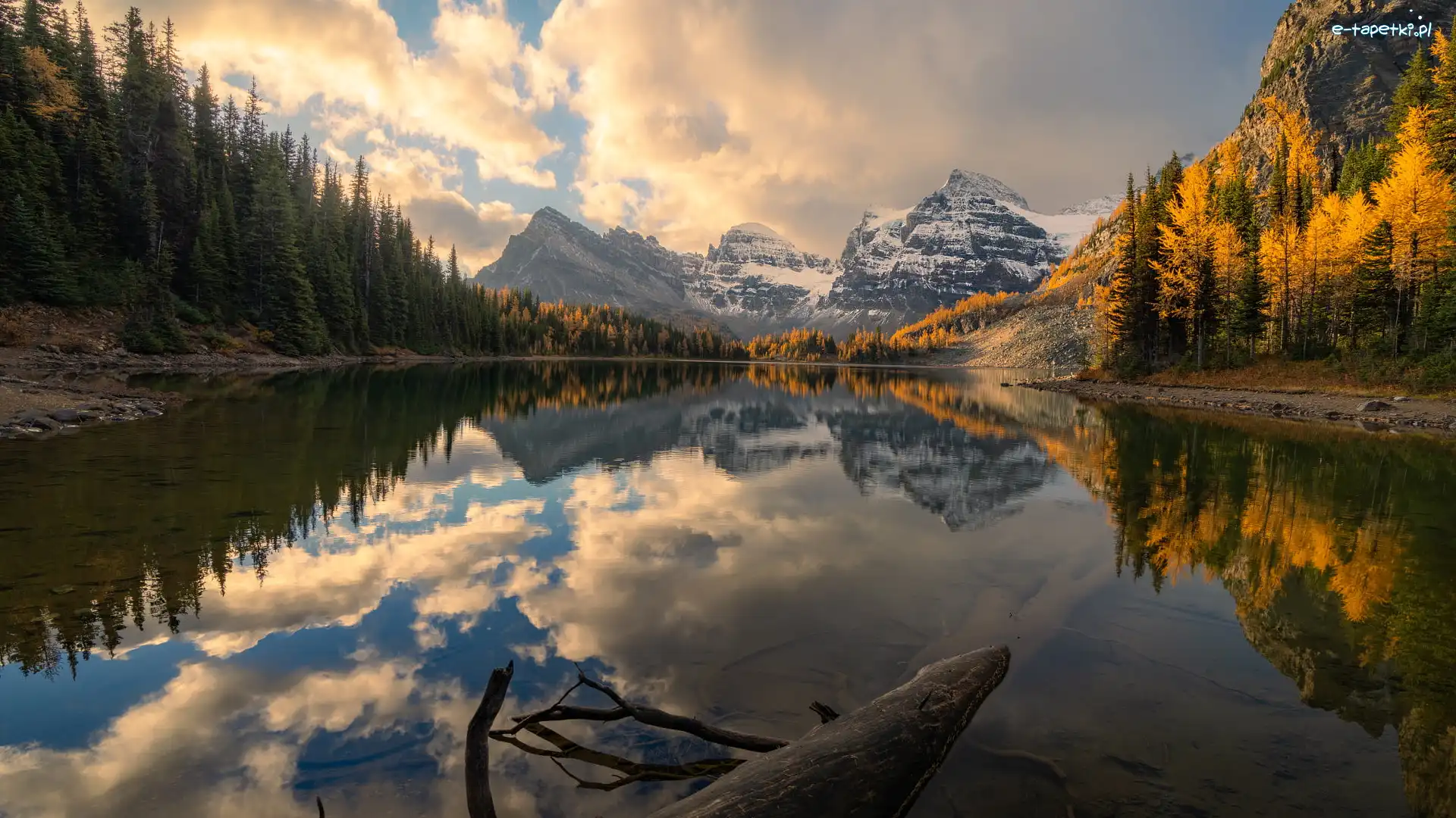 Drzewa, Par prowincjonalny Mount Assiniboine, Góry, Sunburst Lake, Jezioro, Kanada, Kolumbia Brytyjska, Canadian Rockies, Jesień
