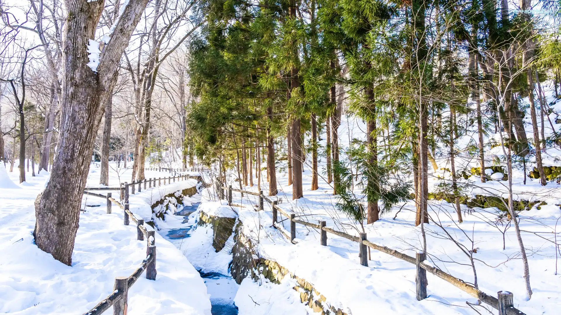 Zima, Drzewa, Śnieg, Ogrodzenie, Strumień