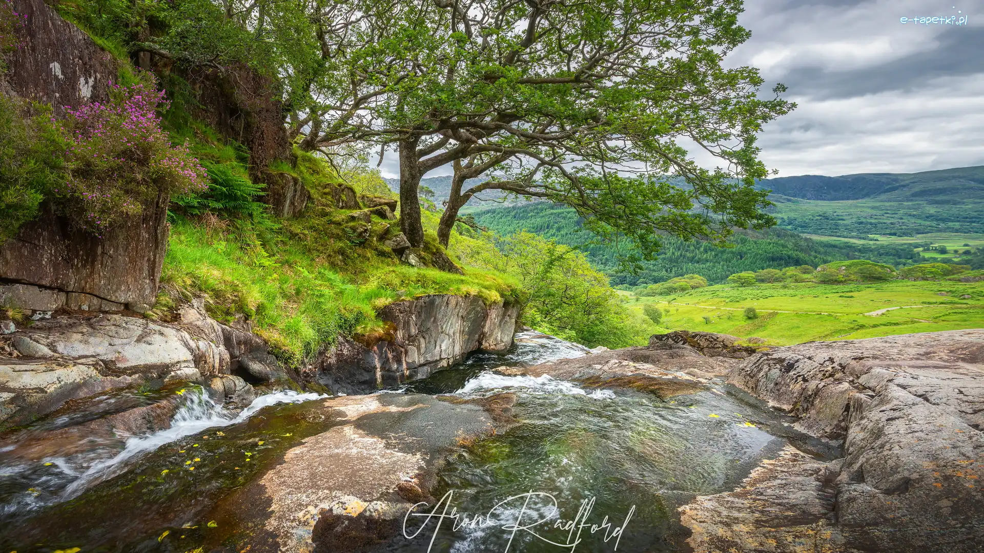 Skały, Rzeka, Drzewa, Walia, Góry Kambryjskie, Park Narodowy Snowdonia
