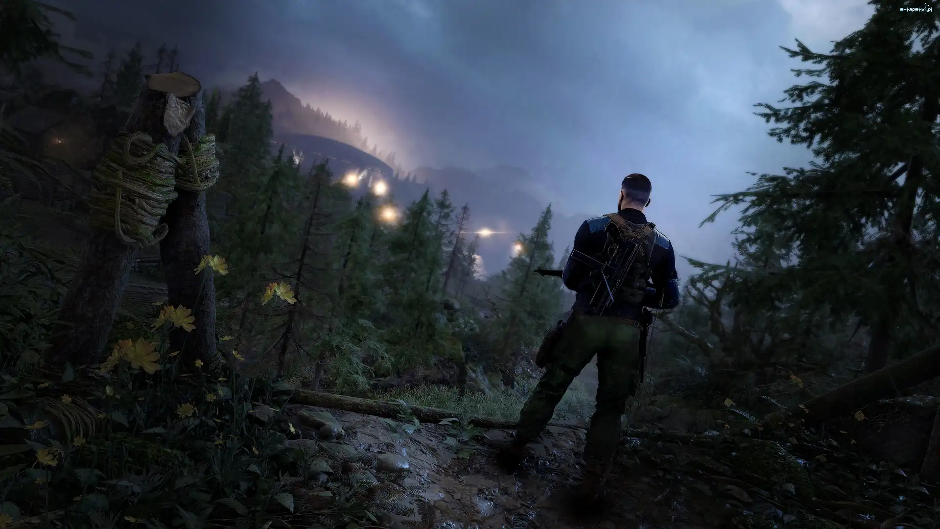 Sniper Elite 5, Las, Zamglone, Snajper, Mężczyzna, Gra, Góry