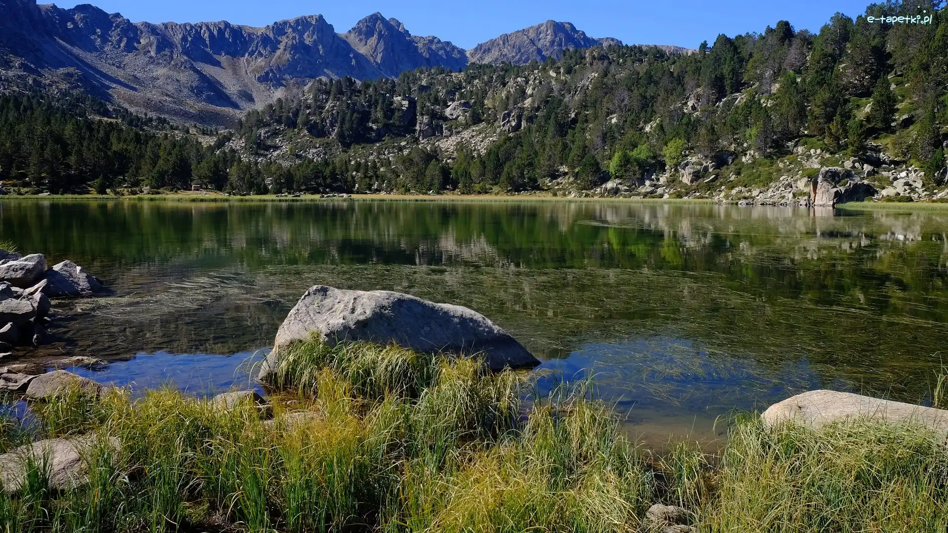 Kamienie, Jezioro, Andora, Encamp, Llac dels Pessons, Trawa, Drzewa, Góry