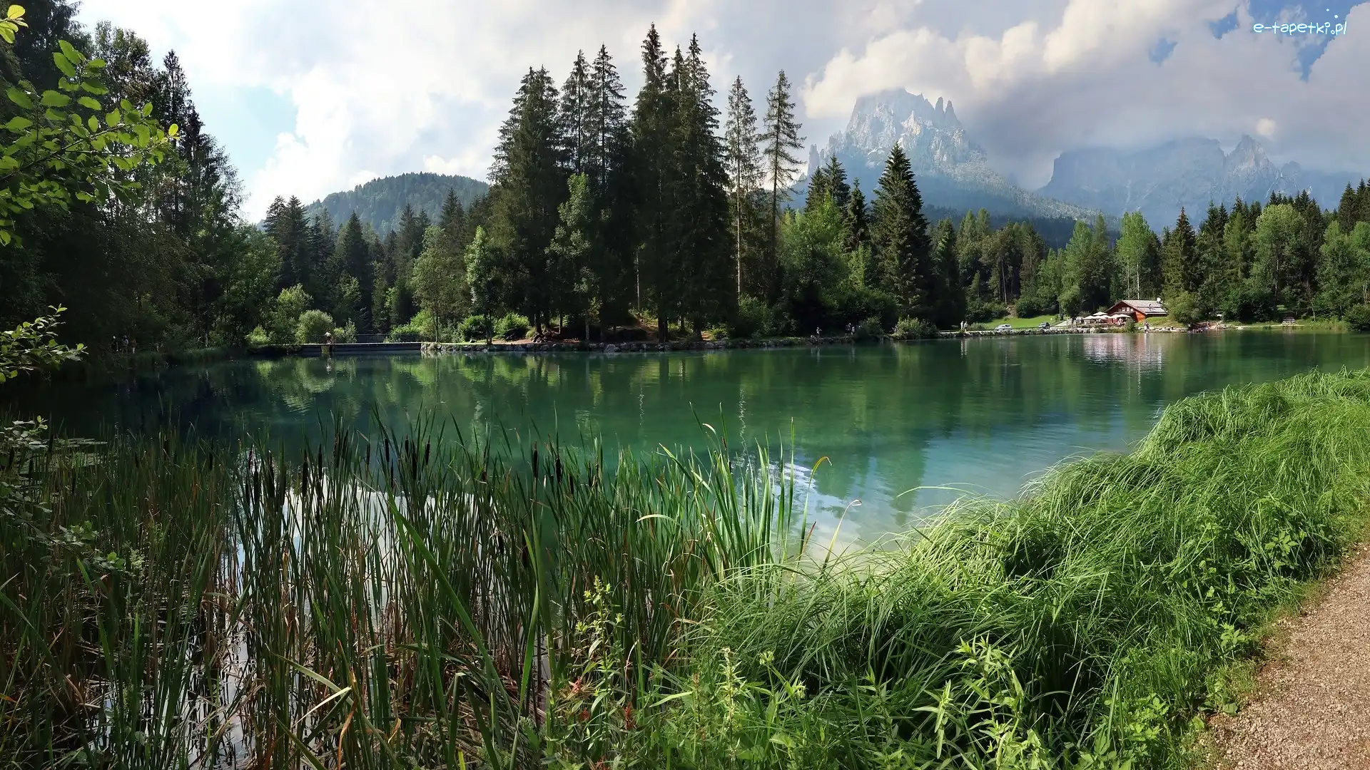 Drzewa, Lago Welsperg, Włochy, Tonadico, Góry, Rośliny, Dom, Jezioro