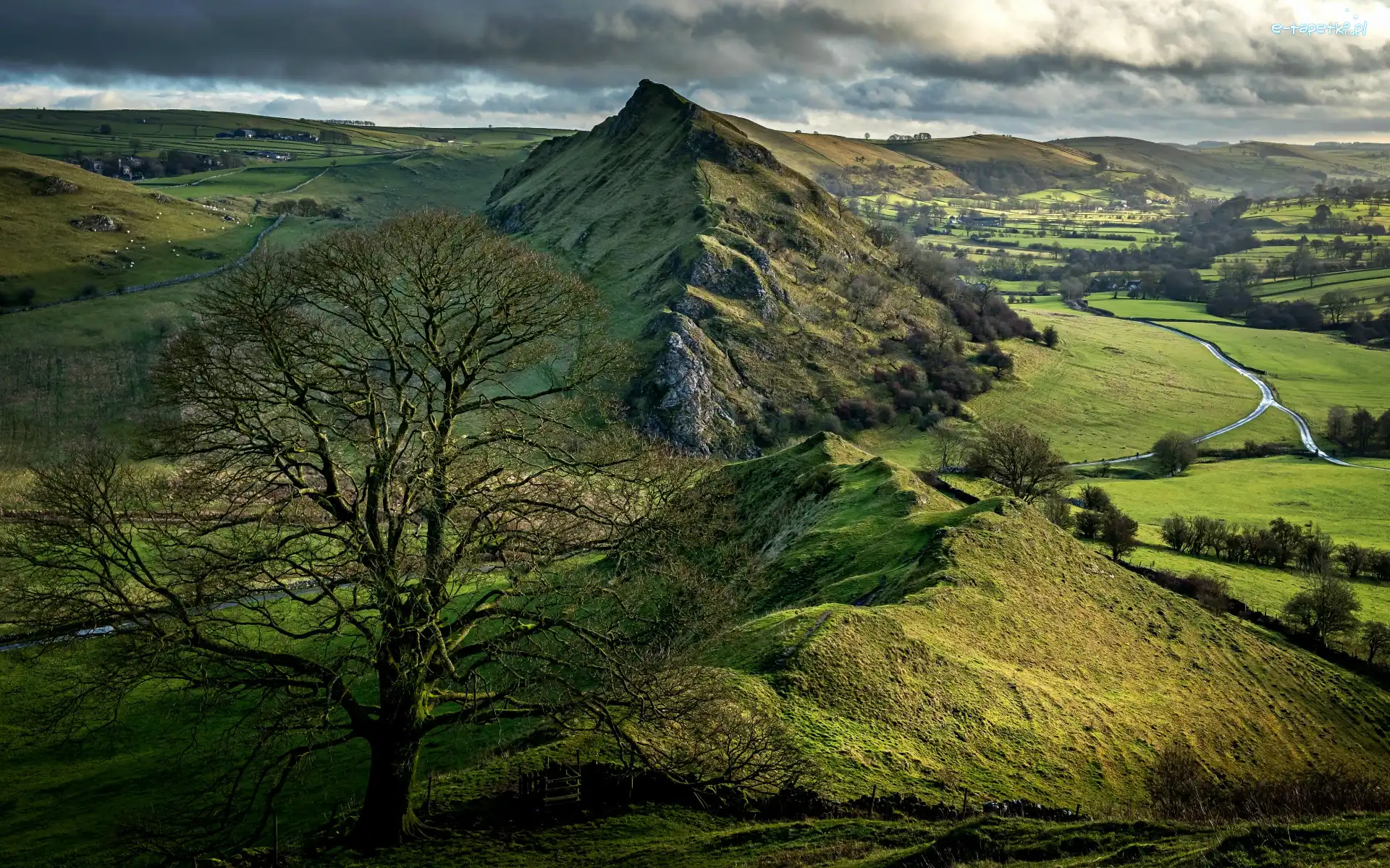 Wschód słońca, Wzgórze, Parkhouse Hill, Anglia, Drzewo, Park Narodowy Peak District