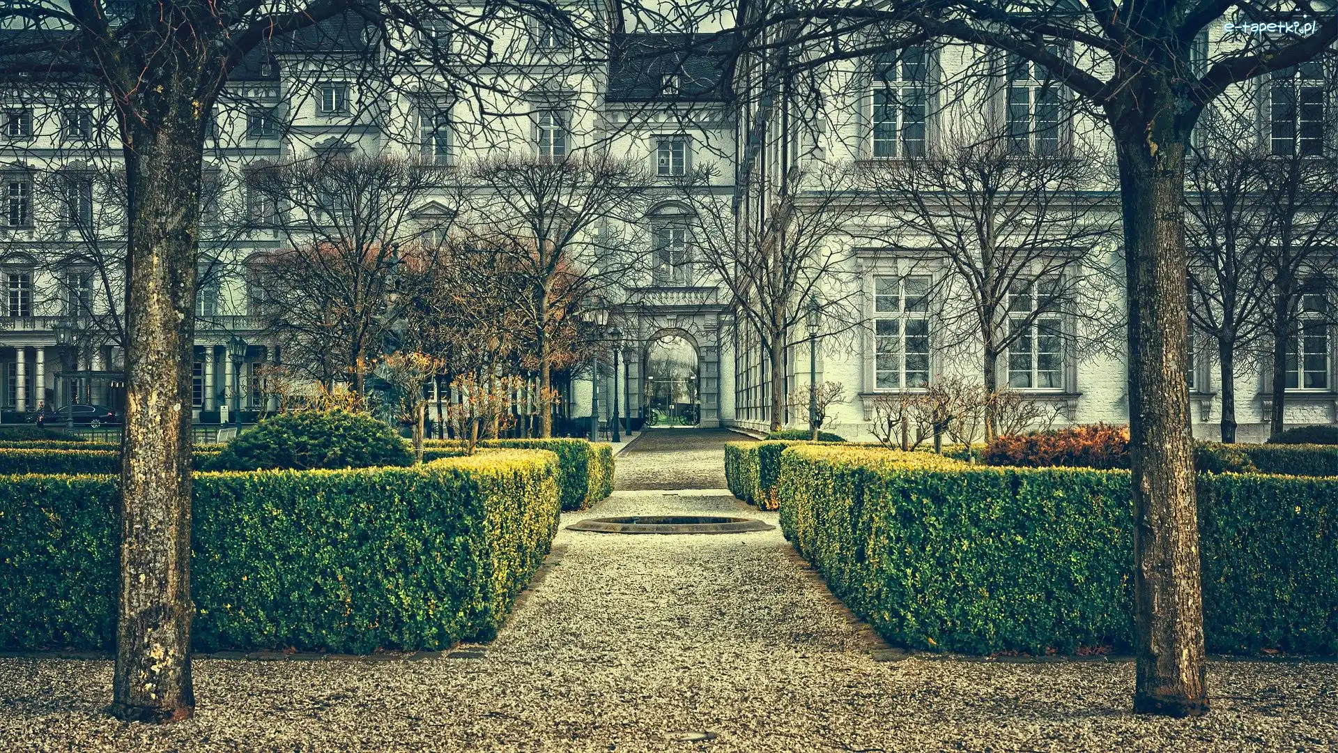 Niemcy, Żywopłot, Drzewa, Althoff Grandhotel Schloss Bensberg, Hotel, Bergisch Gladbach, Nadrenia