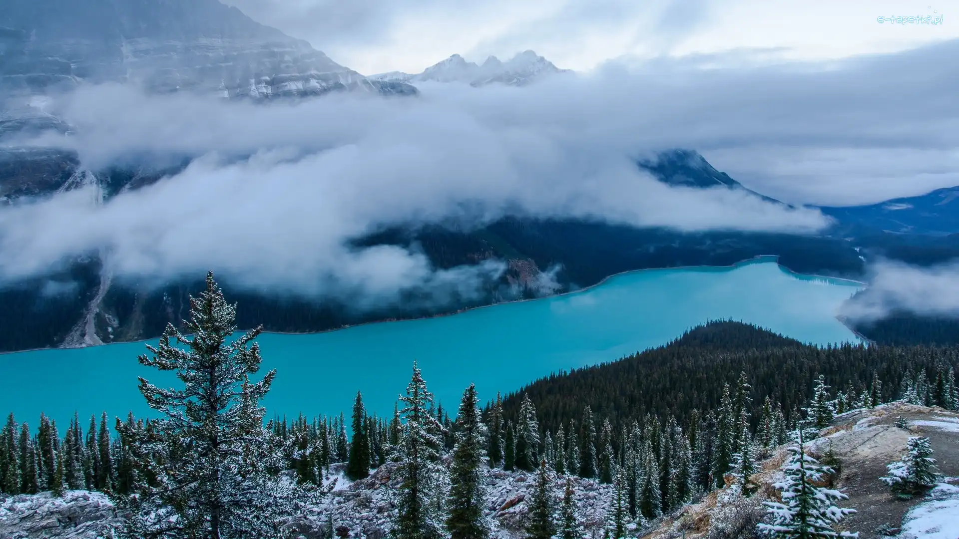 Park Narodowy Banff, Jezioro, Kanada, Śnieg, Opadająca, Mgła, Drzewa, Góry, Peyto Lake, Alberta