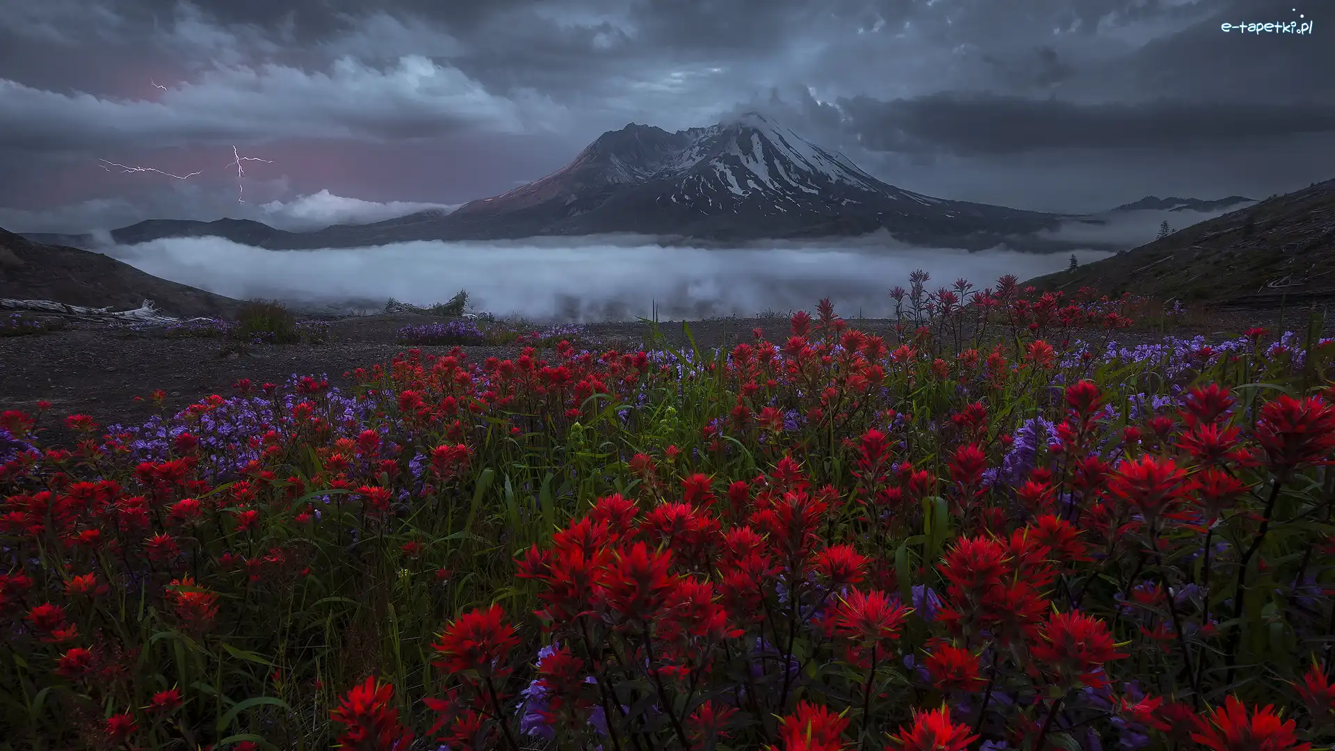 Mgła, Łąka, Góry Kaskadowe, Kwiaty, Stany Zjednoczone, Mount St Helens, Czerwone, Burza, Wulkan, Pioruny, Ciemne, Stan Waszyngton, Chmury