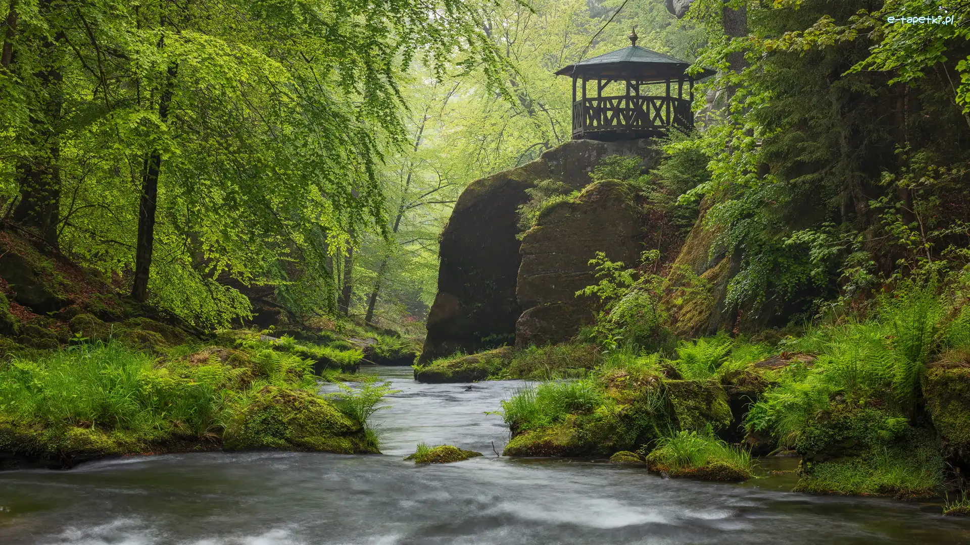 Skała, Zielone, Czechy, Park Narodowy Czeska Szwajcaria, Drzewa, Altana, Rzeka Kamienica, Las