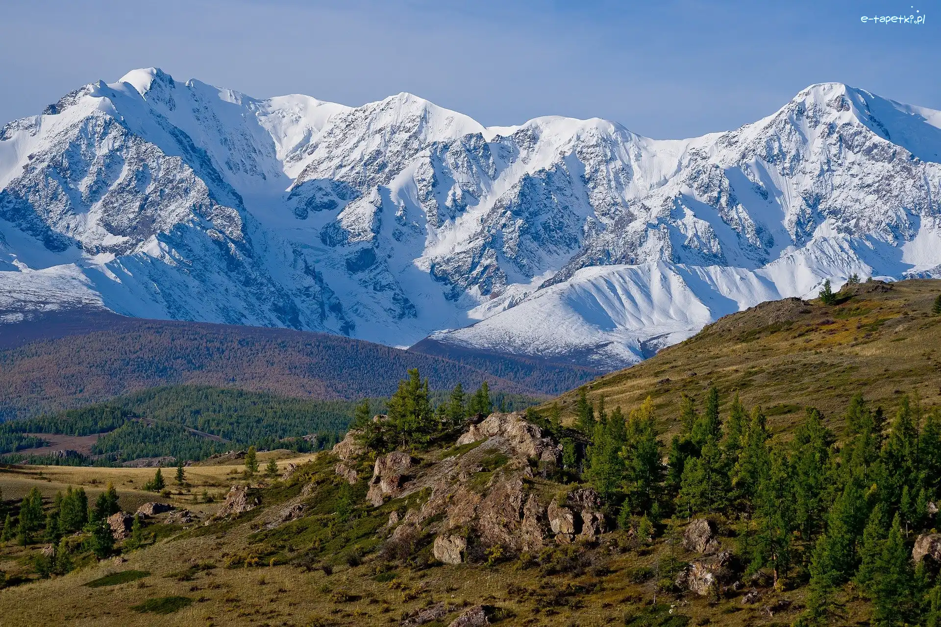 Ośnieżone, Ałtaj, Góry, Rosja, Las