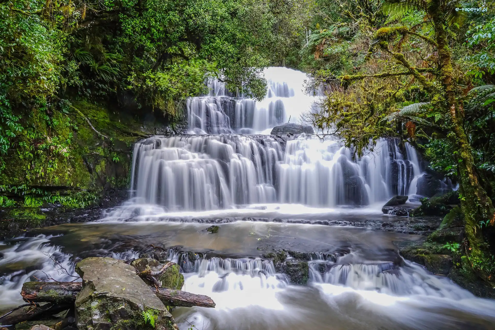 Nowa Zelandia, Purakaunui Falls, Drzewa, Wodospad, Las, Catlins, Skała
