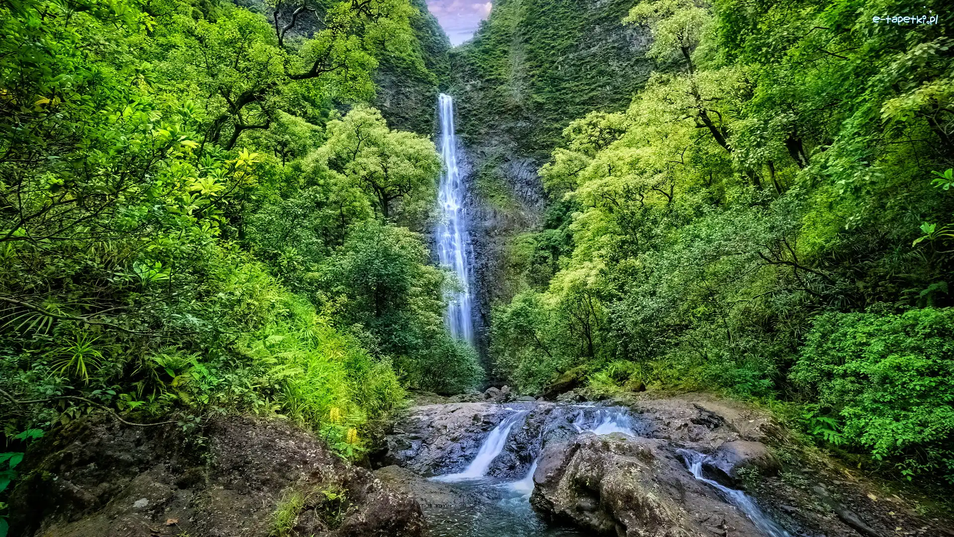 Wyspa Kauai, Las, Stany Zjednoczone, Skała, Wodospad, Hanakapiai Falls, Rzeka, Zielony, Drzewa, Hawaje